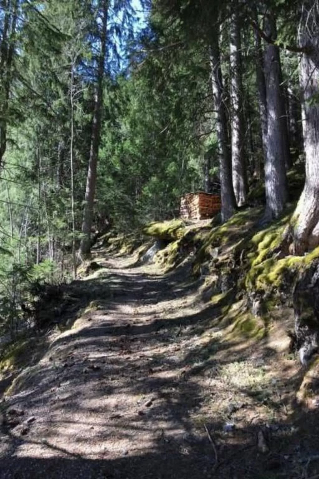 Katharina von Allmen-Image-tags.info