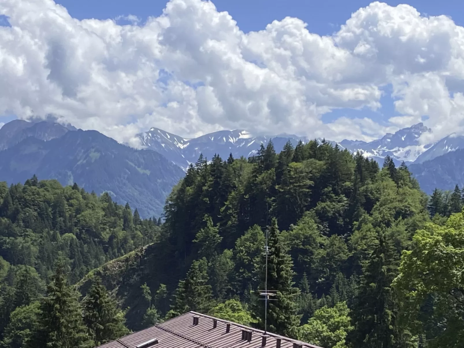 Falkenhorst Wh 25 - Buiten