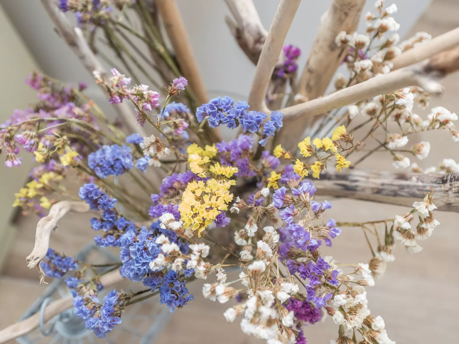 "Ena" mit Blick auf das Wasser-Binnen