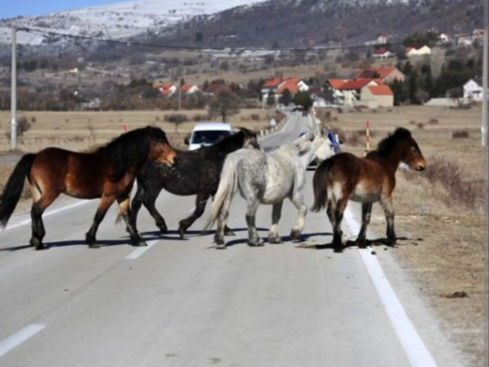 Kupres apartman-Image-tags.info