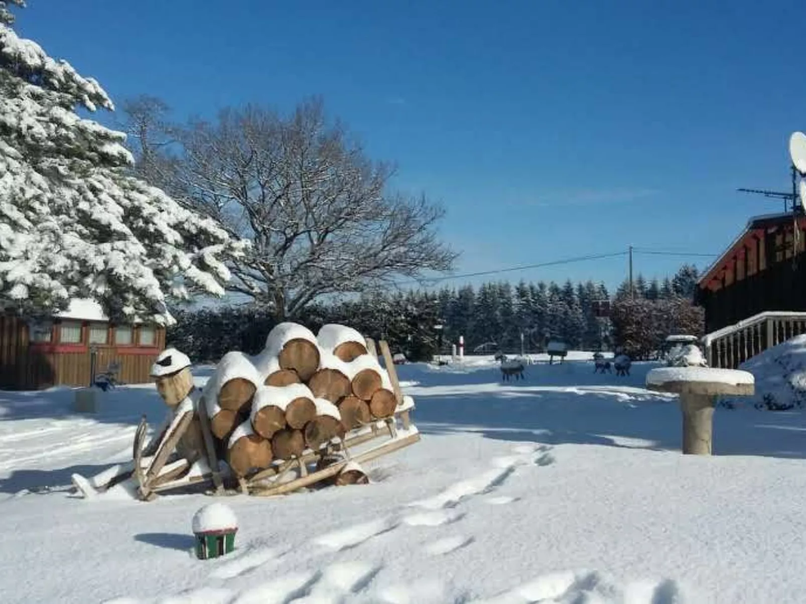 Charmantes Ferienhaus mit gemeinsamem Grill-Buiten