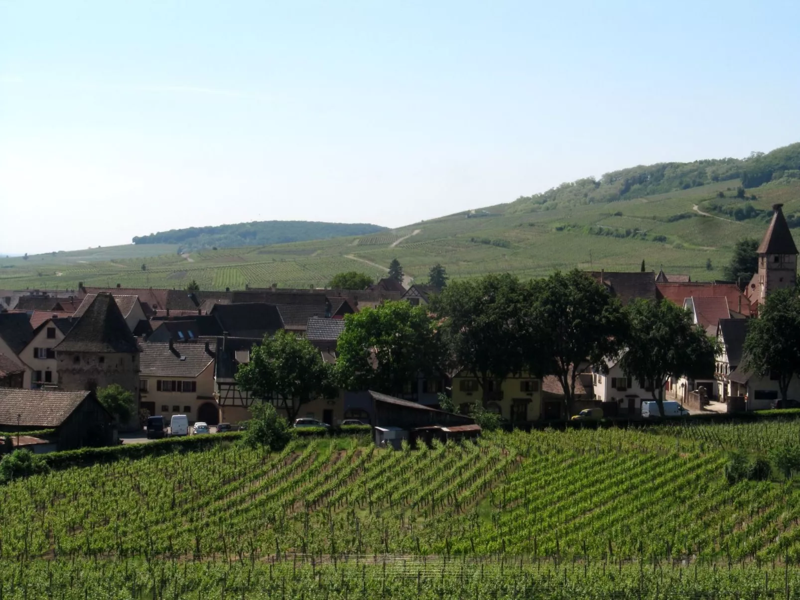 2ed-Face Vosges,im Süden,Herz Weinberg,Ruhig,WiFi-Buiten