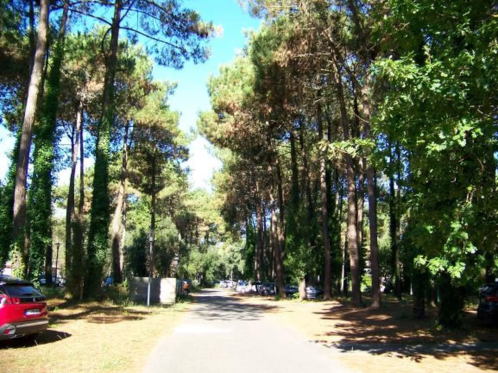 Schönes Appartment in ruhiger Lage in einer baumbestandenen Residenz mit beheiz-Buiten