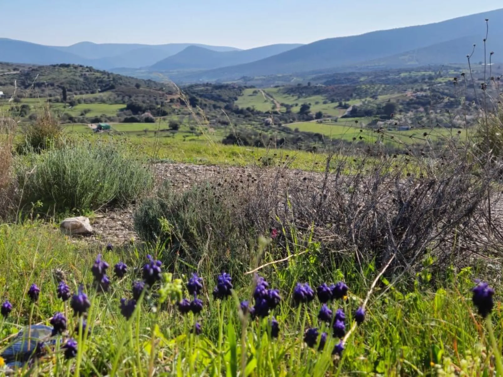 Villa Newlands, Porto Cheli - Meer und Berge.-Buiten