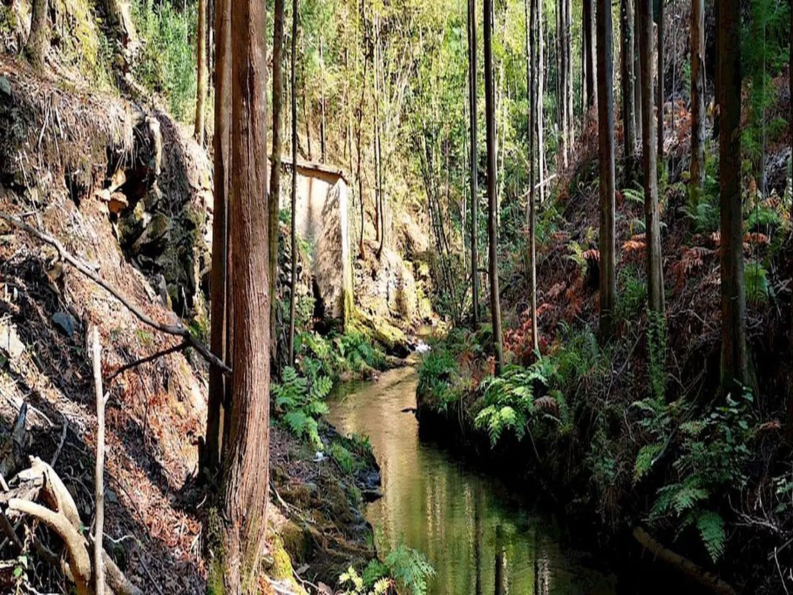 Landhaus in idyllischer Lage-Image-tags.info