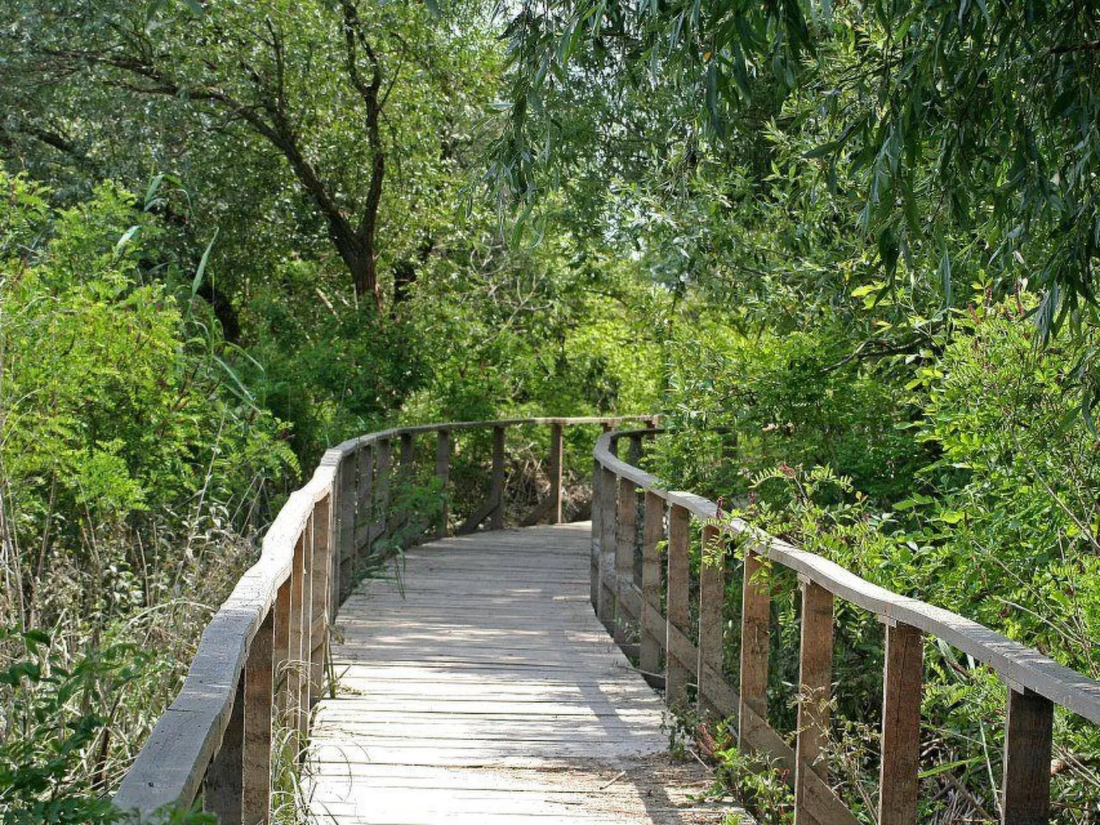 Hütte mit Garten, Grill und Terrasse-Buiten