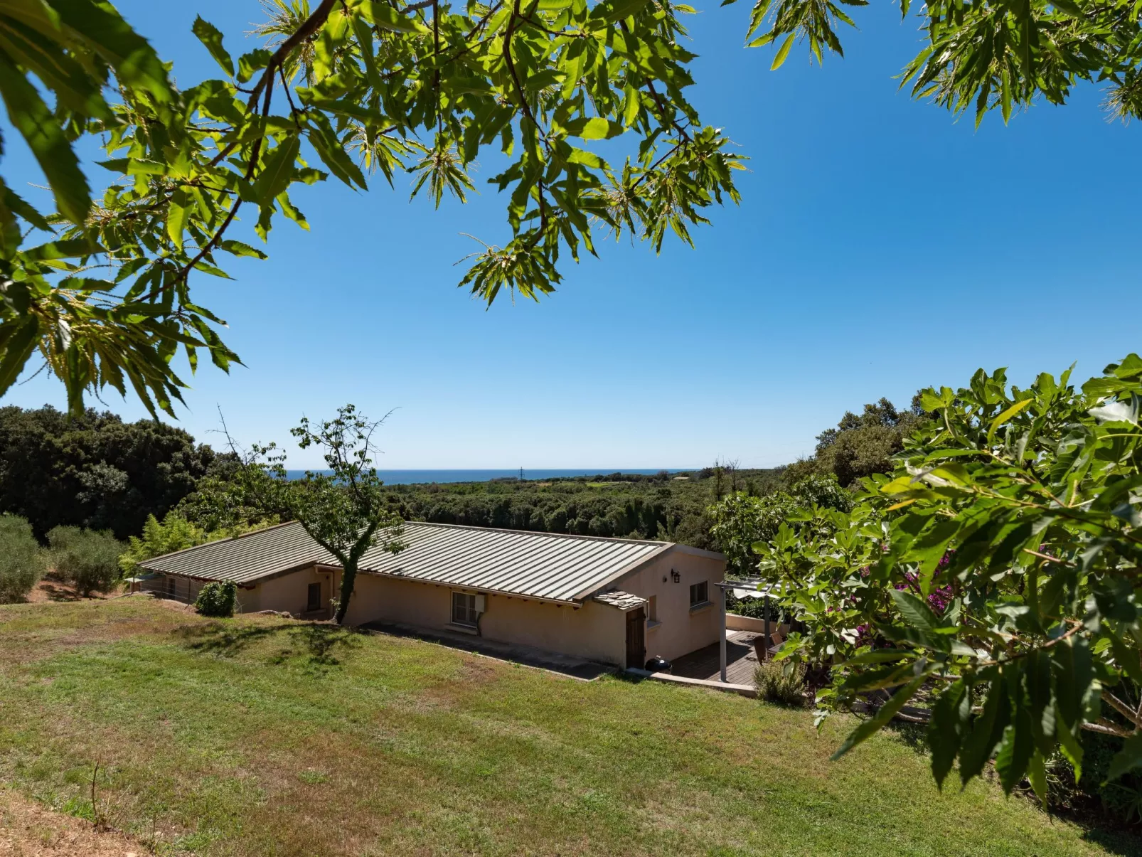 Domaine Punta della Guardia Maison A Figa mit Blick auf das Meer-Buiten