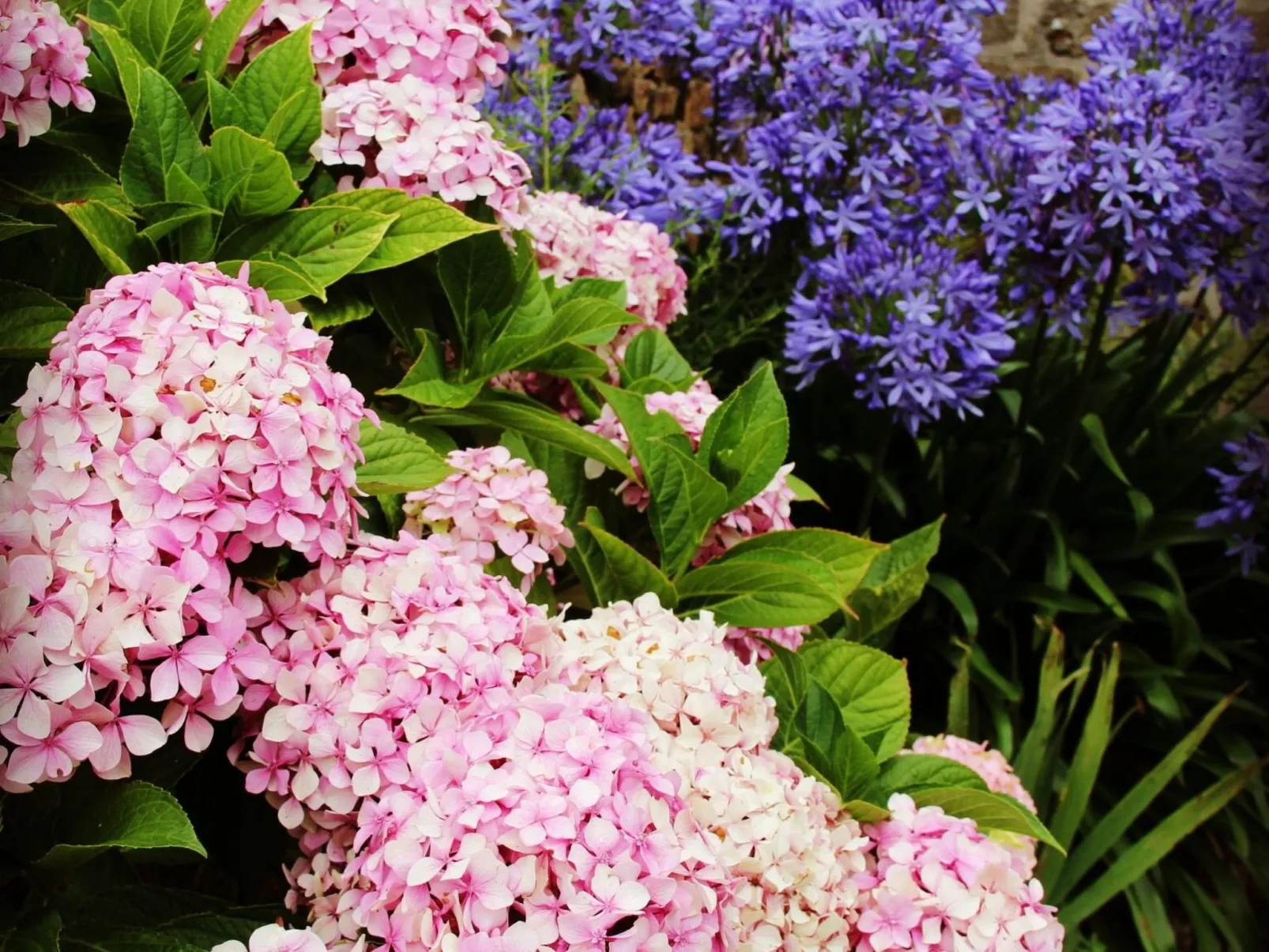 "KerMamGoz" in Strandnähe-Buiten