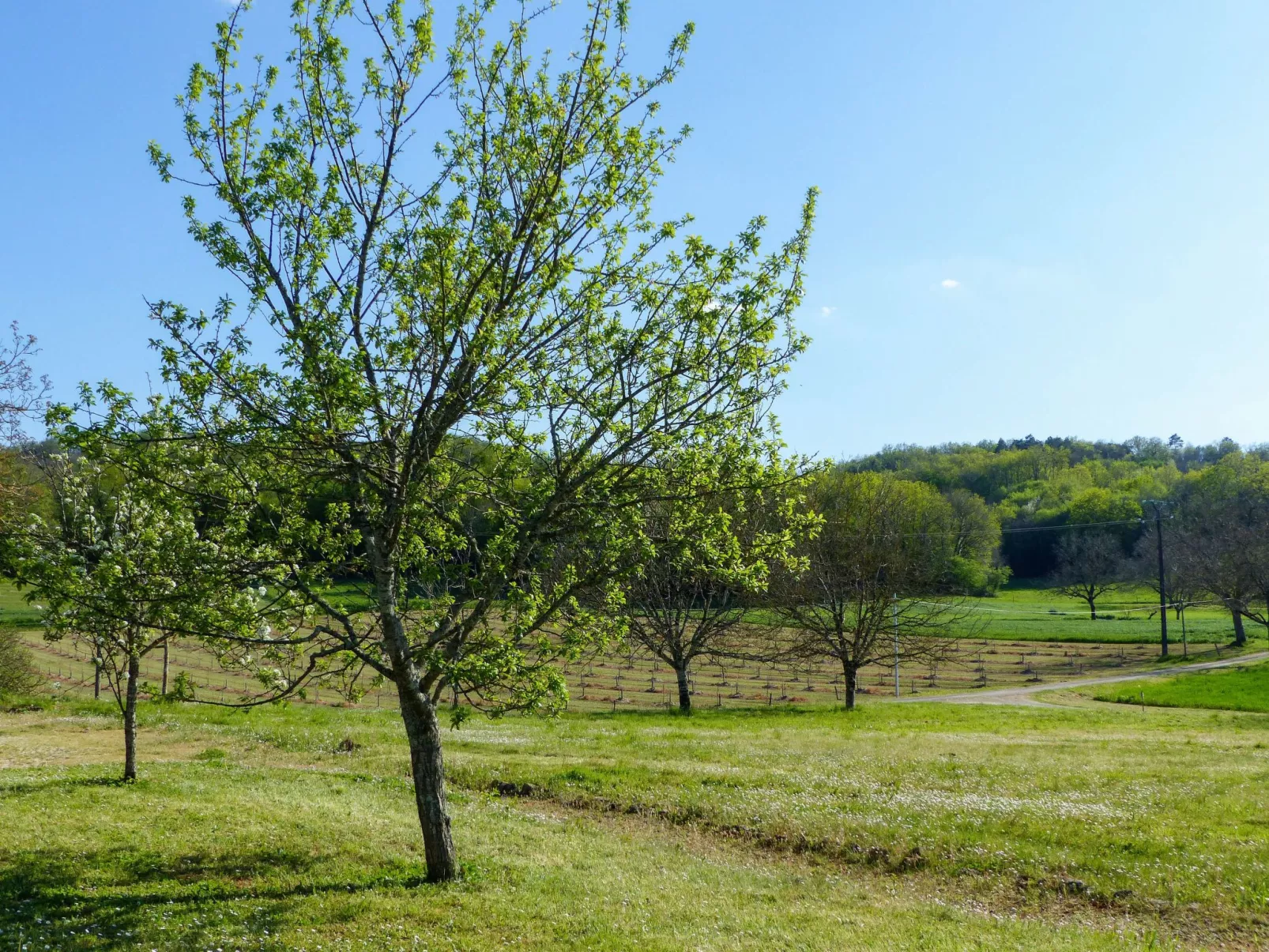 Doppelhaushälfte in einem alten Bauernhof im Périgourdine-Buiten