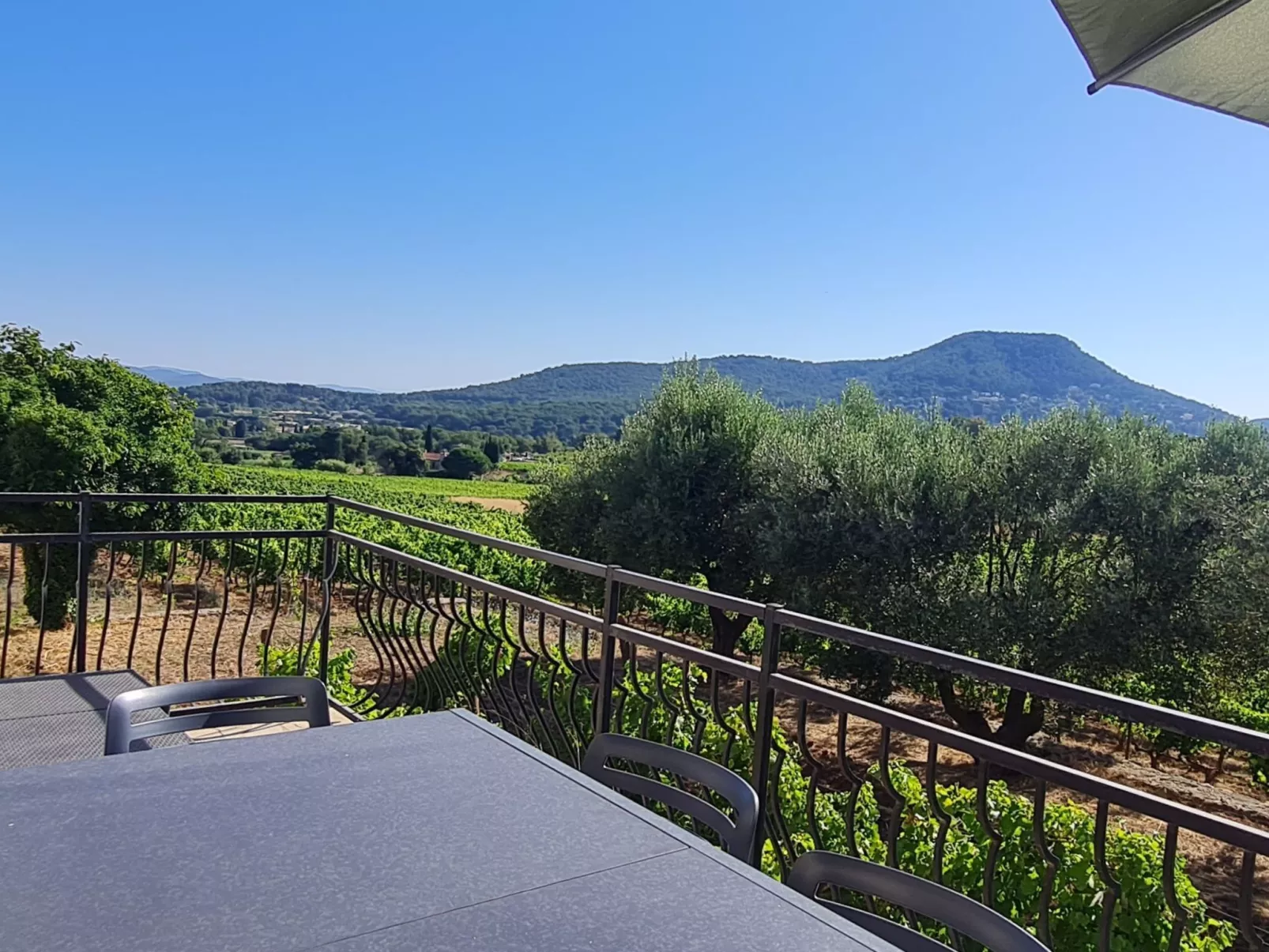 Im Herzen der Weinberge, schattige Terrasse umgeben von Grün, Pool - Image-tags.info