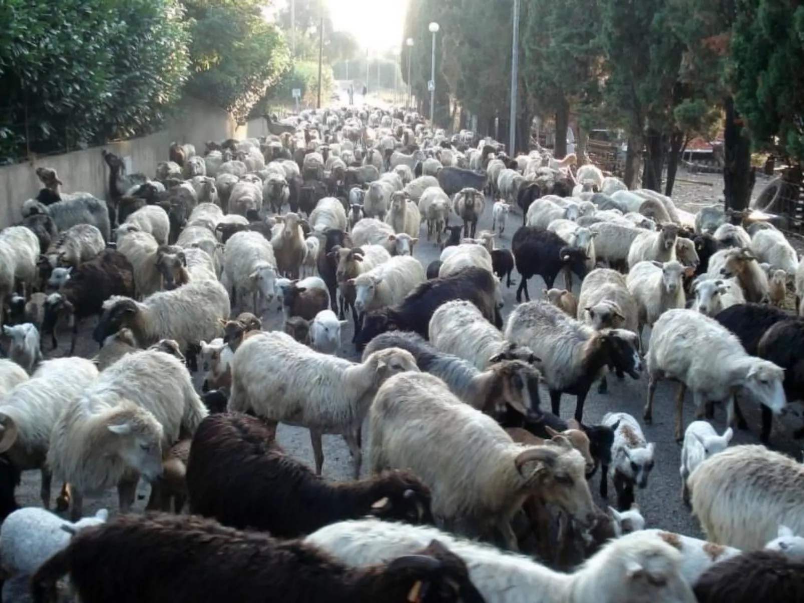 Wohnung mit allem Komfort Strand zu Fuß-Image-tags.info