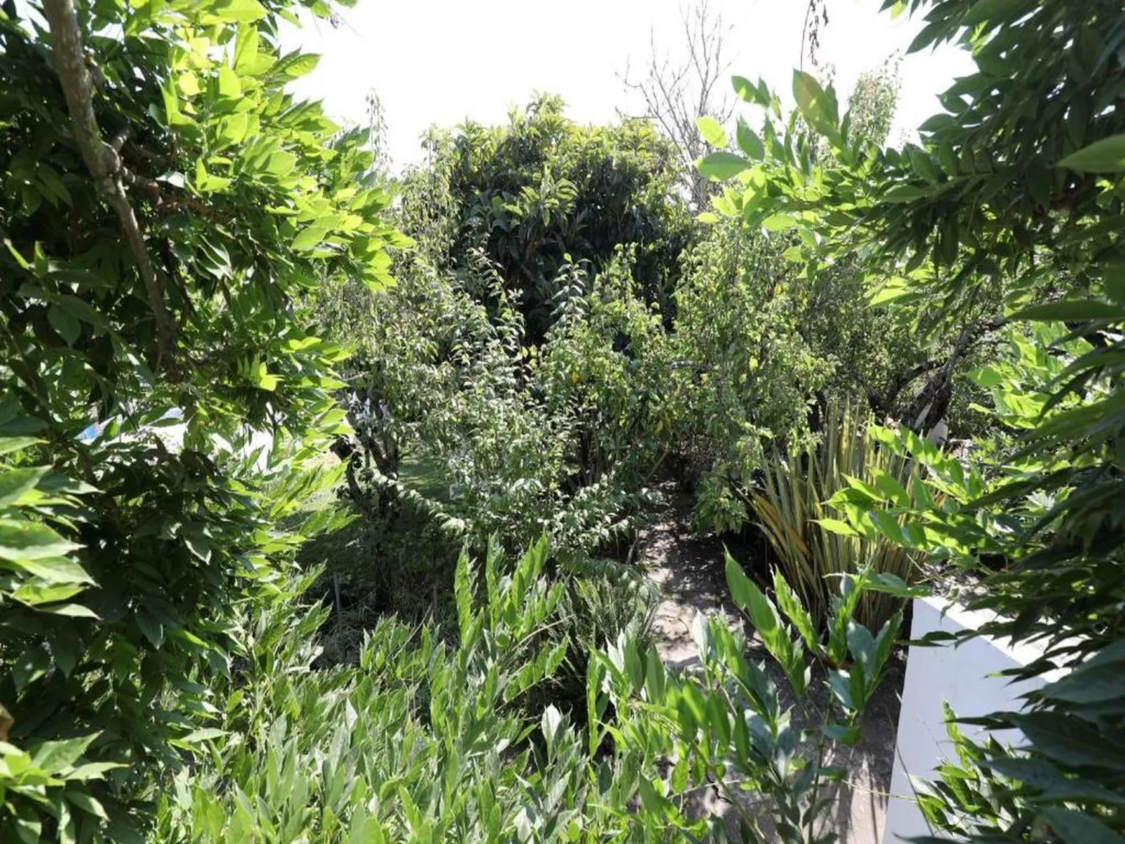 Historisches Haus in der Nähe des historischen Dorfes von Óbidos-Image-tags.info