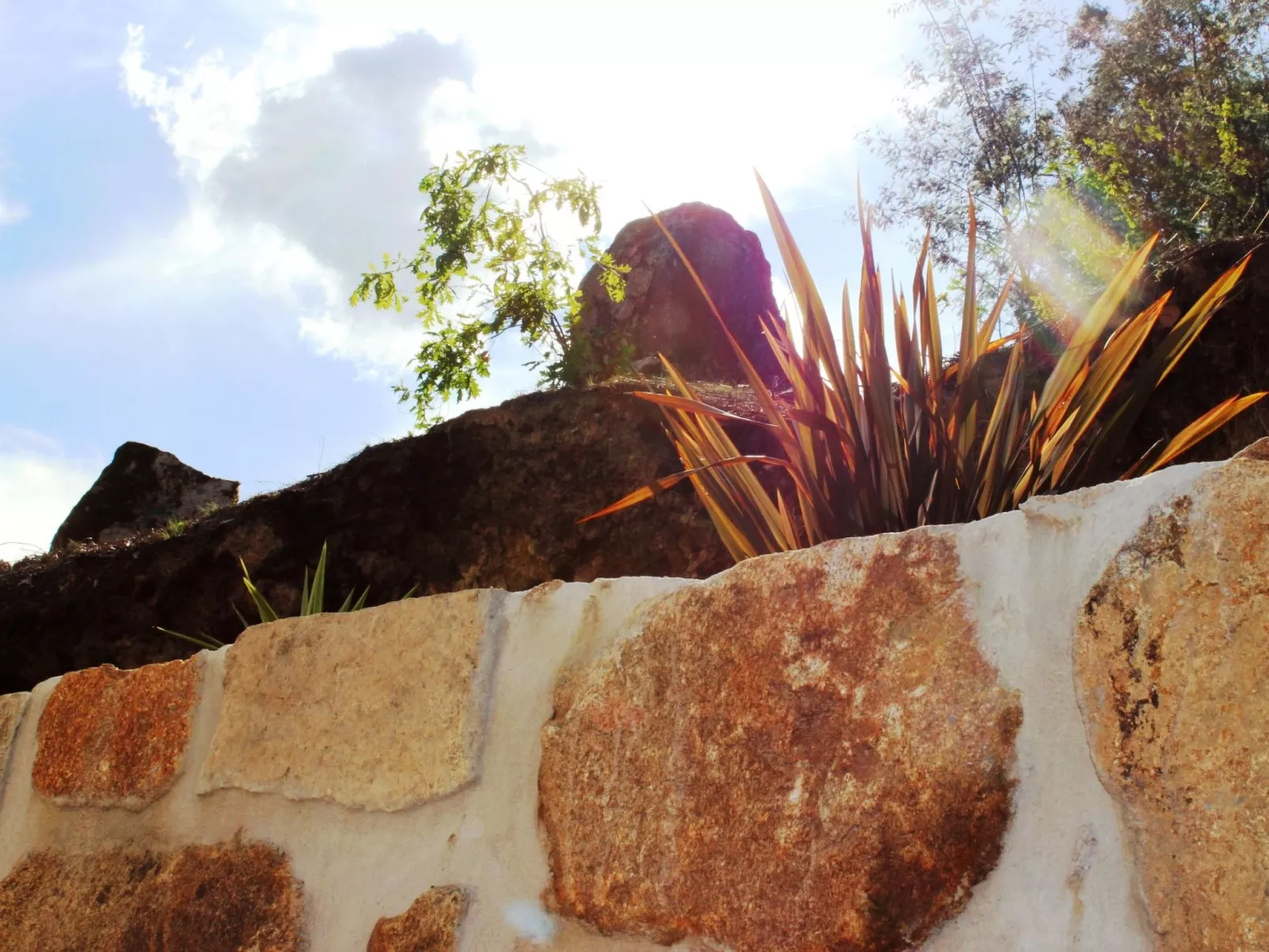 Großes renoviertes Landhaus in Tondela-Image-tags.info