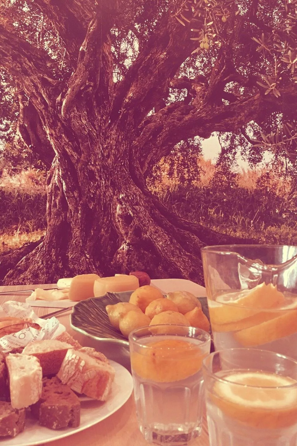 Haus im Hof 1-Buiten