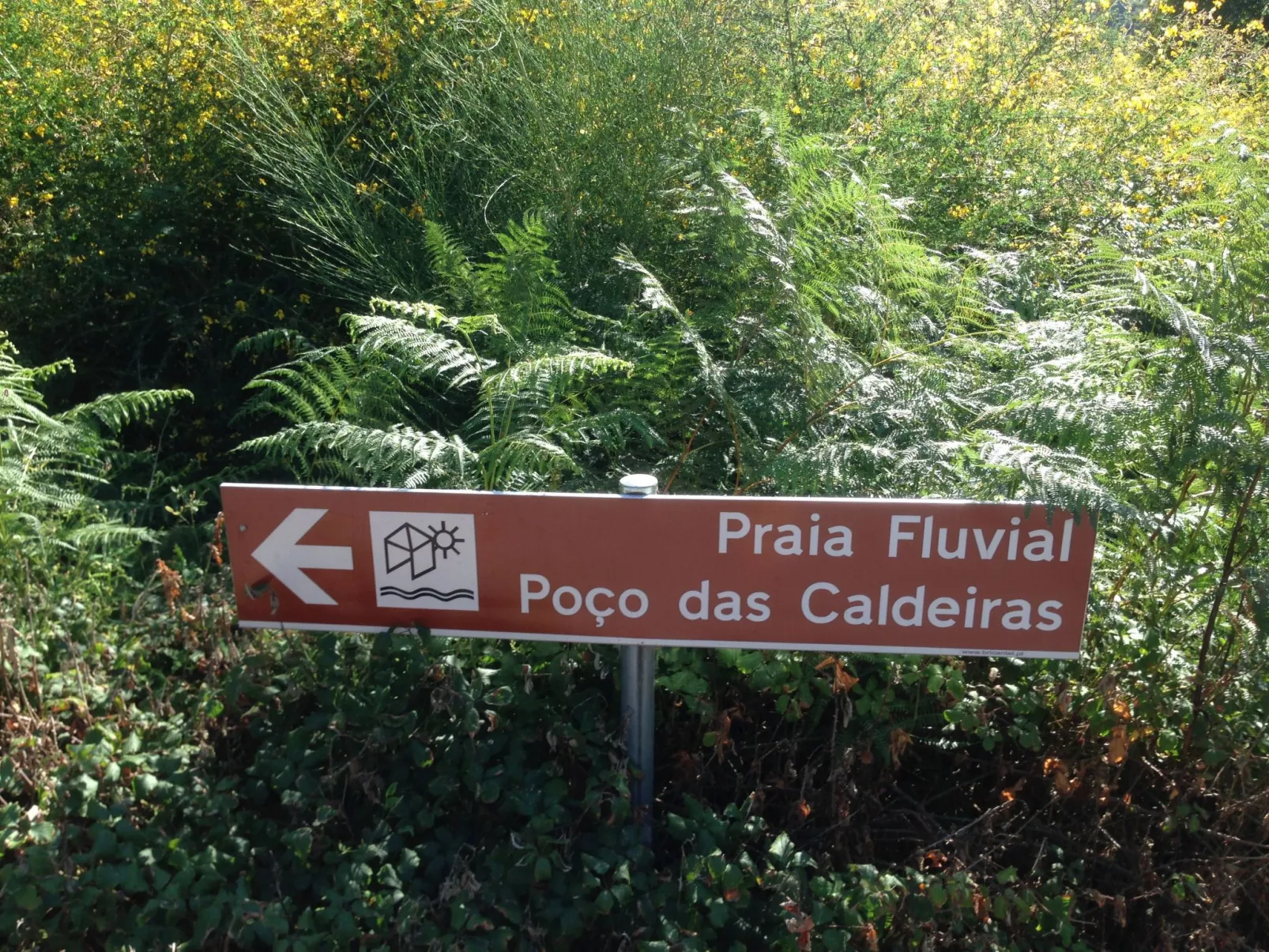 "Großvaters Häuschen" mit Kamin-Buiten