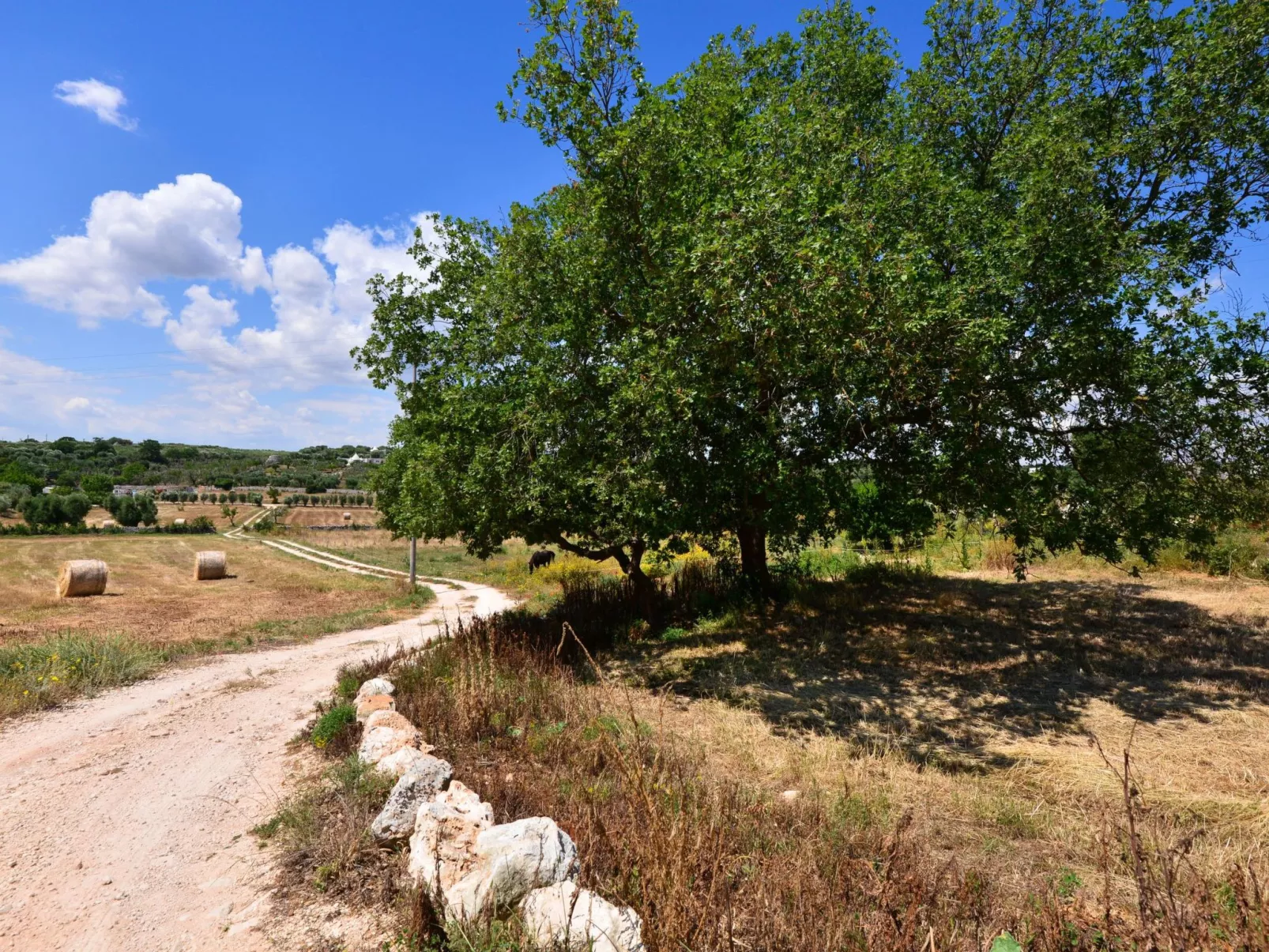 Antike Villa mit privatem Pool, Spa und türkischem Bad-Buiten