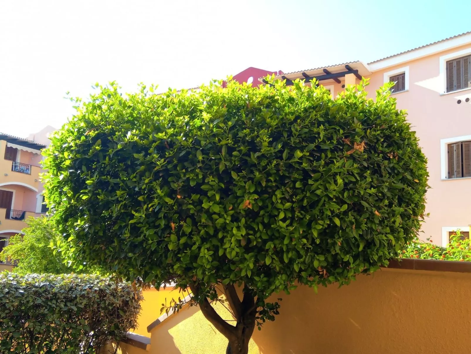 Fabelhaft studio in Santa Teresa Gallura-Buiten