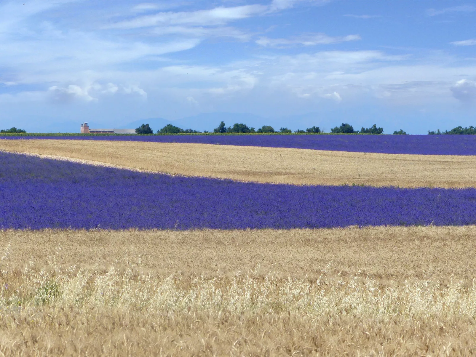 "Samson" mit Kamin-Omgeving