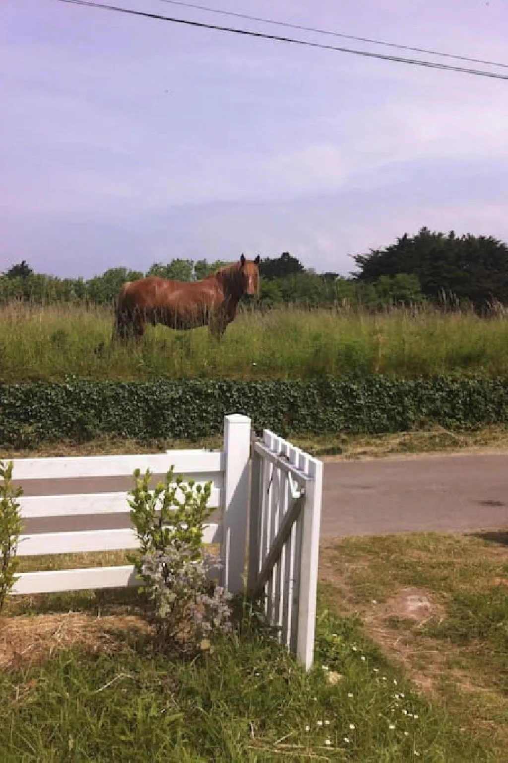 Tolles Ferienhaus in Esquibien mit Großem Garten-Buiten