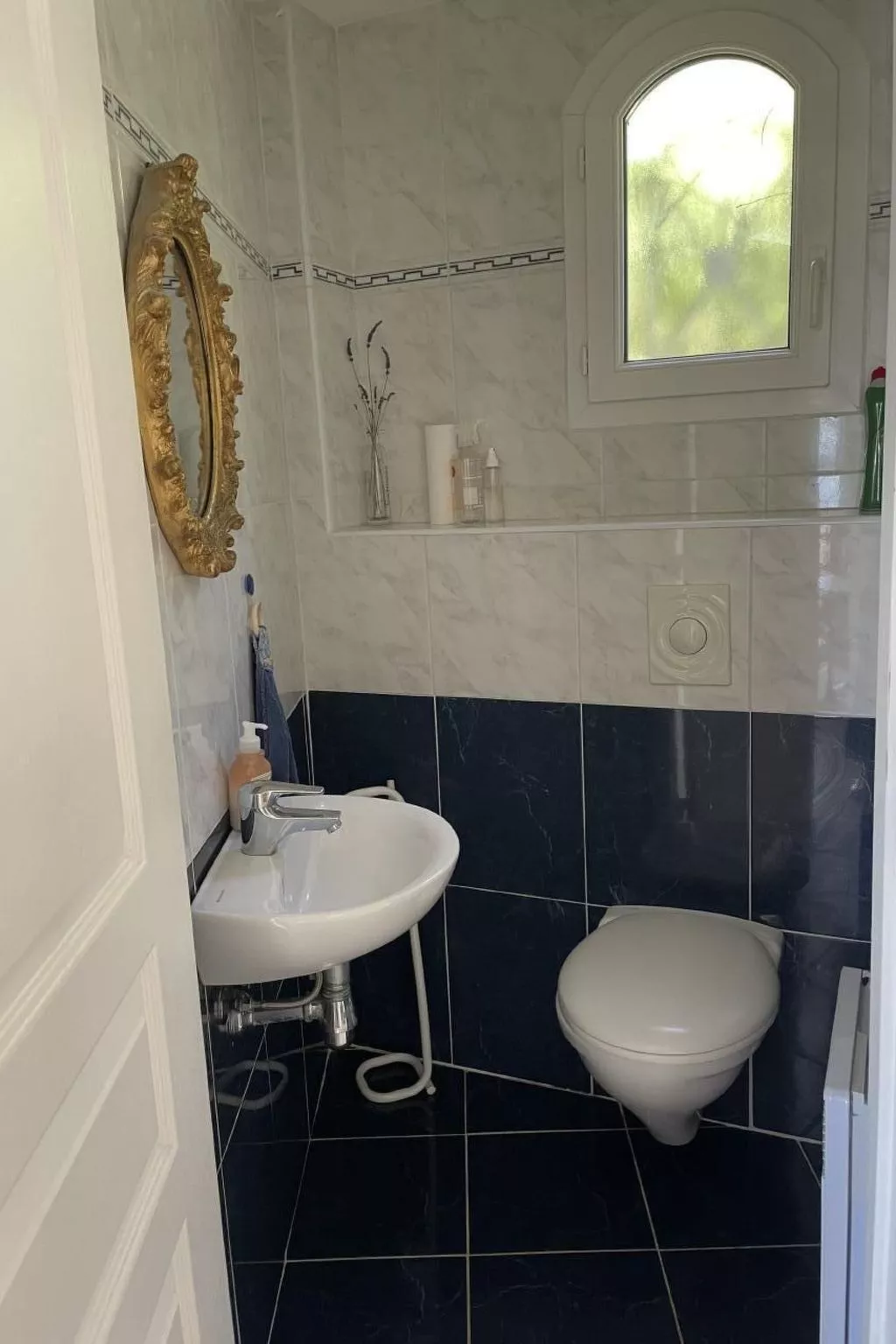 Les Palmiers-Image-tags.info