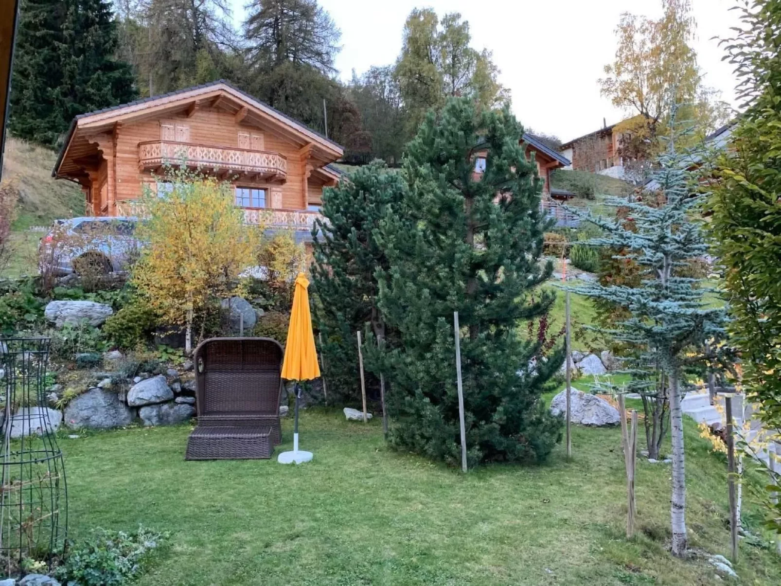 Blue Merle-Image-tags.info