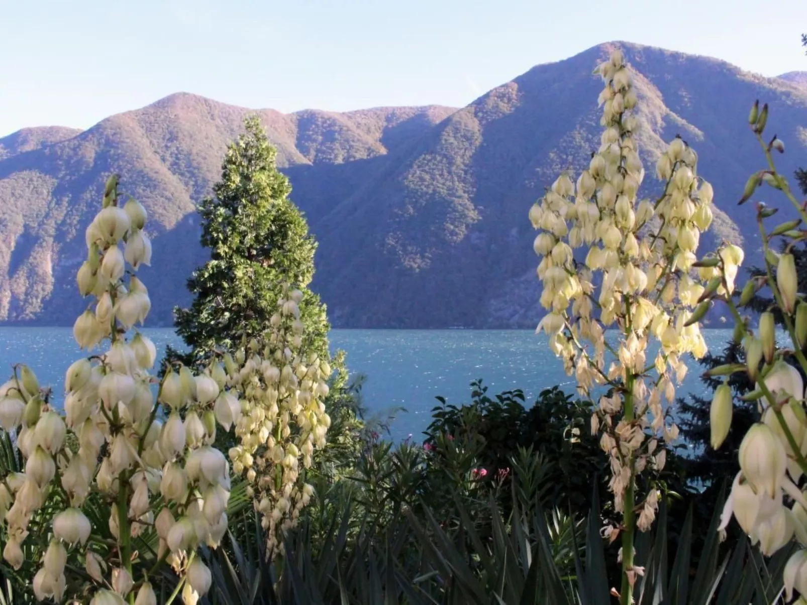 Garten-Wohnung-Buiten