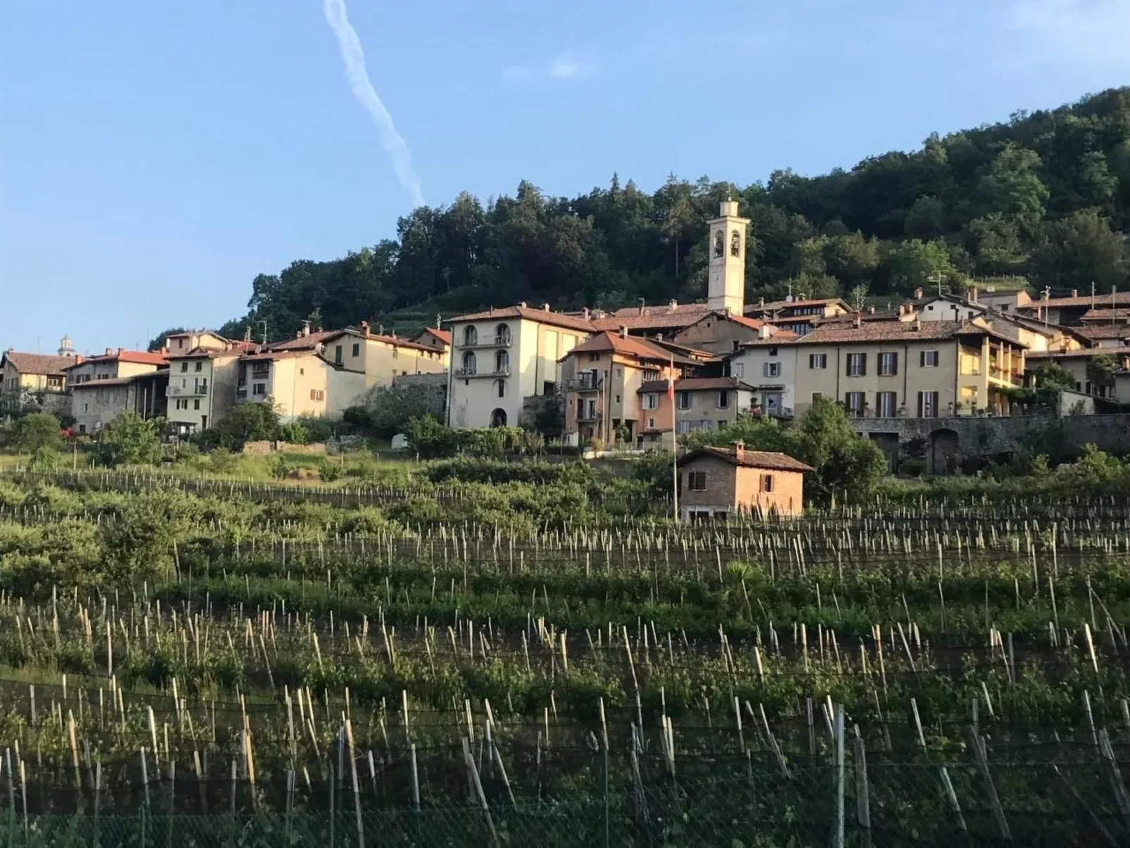 Exklusives Apartment, am Luganersee, mit Außenpool-Buiten