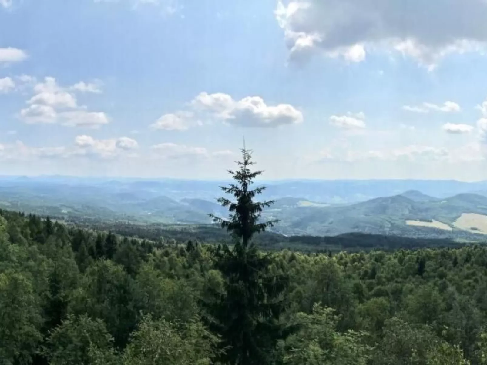 Fewo Natur und Kunst-Buiten