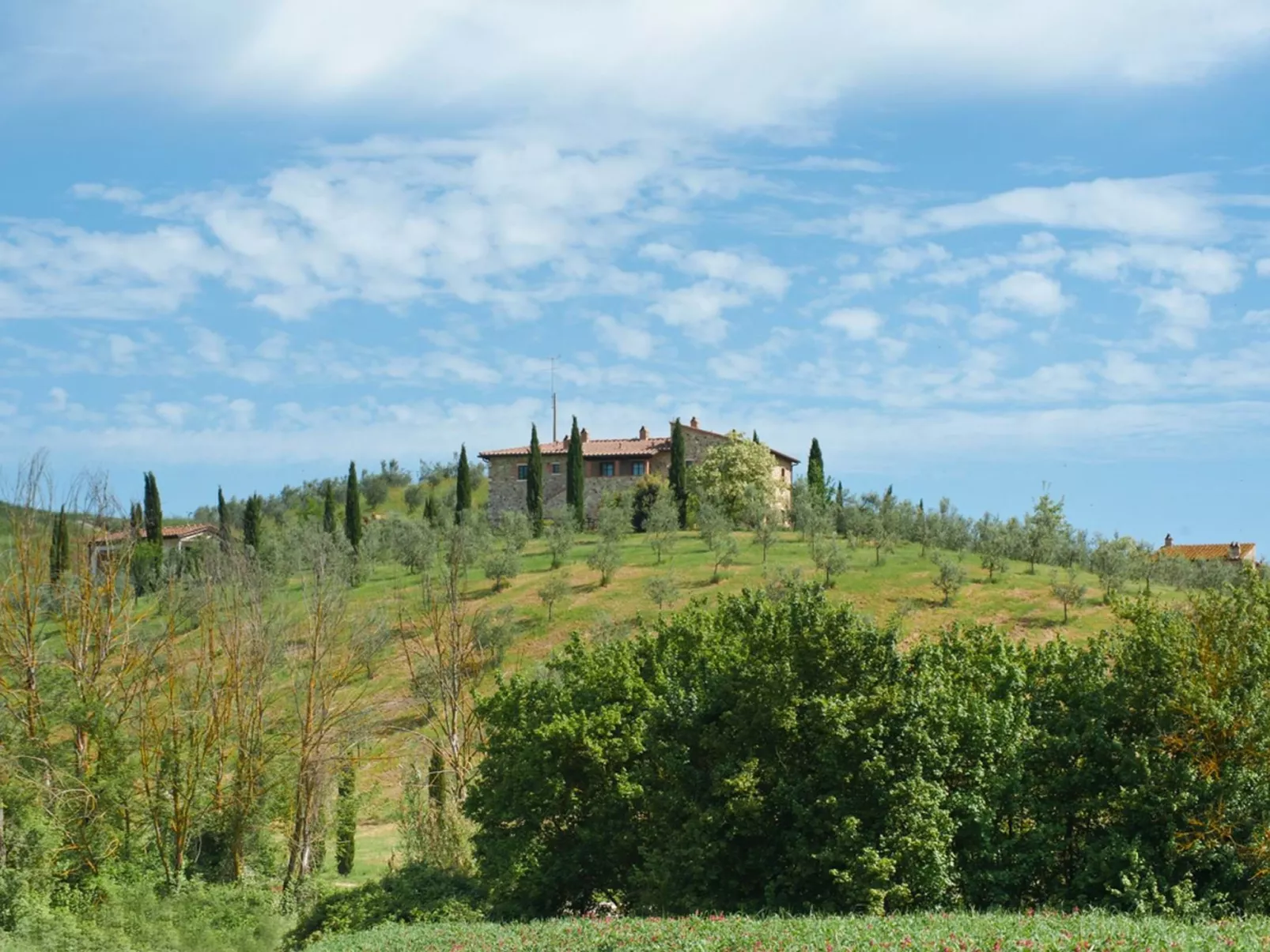 Efeu"-Wohnung mit Gemeinschaftspool-Buiten