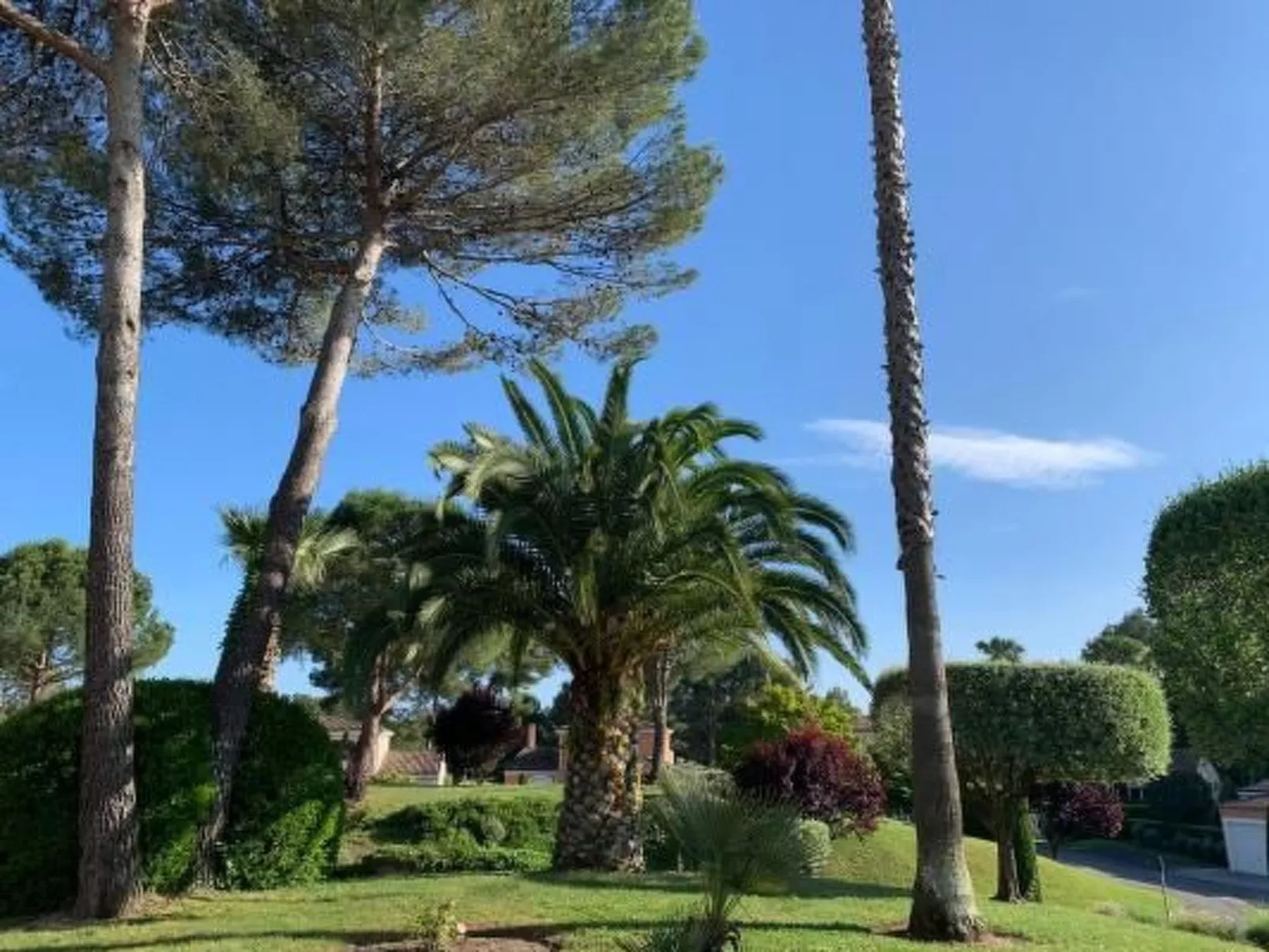 Moderne Wohnung in Mougins mit eigenem Garten-Buiten