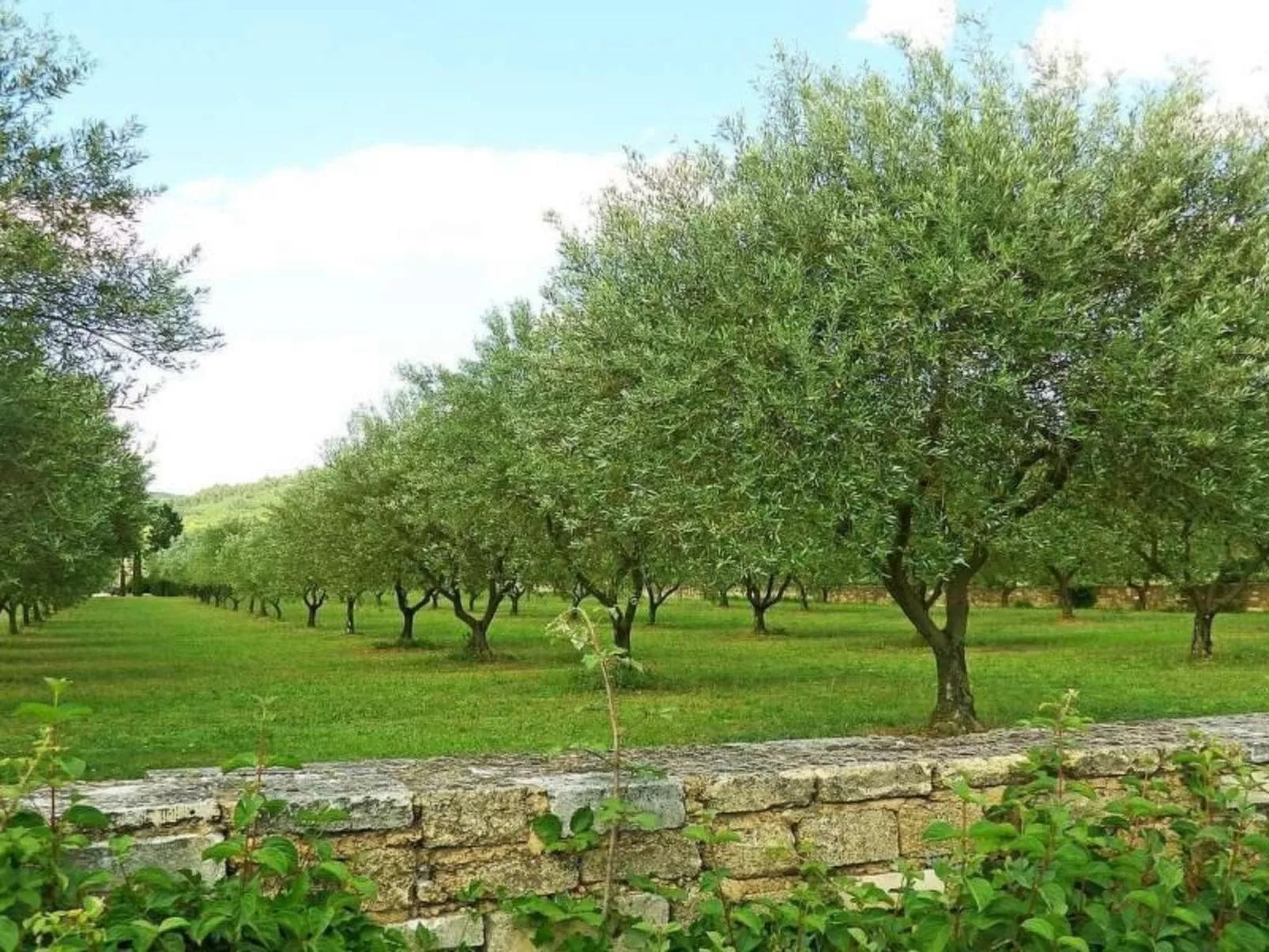 Villa Fleurie-Buiten