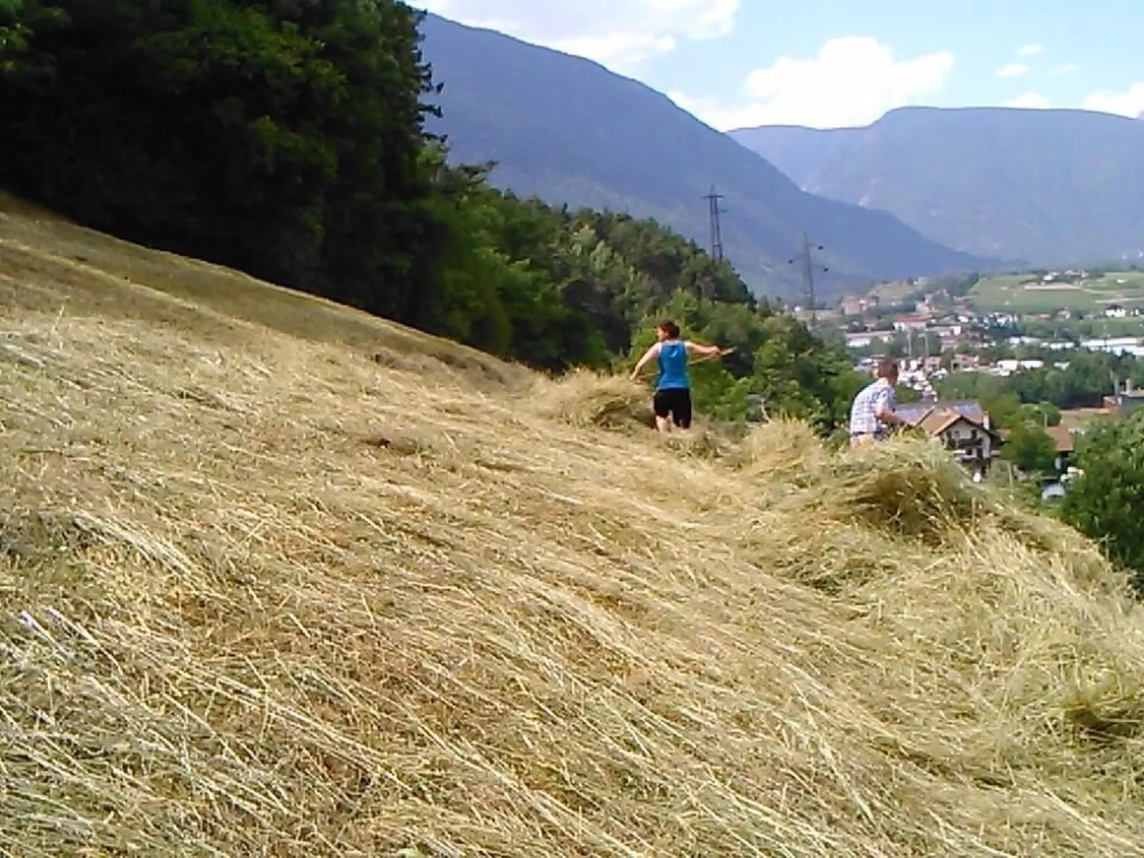 Mit Terrasse auf einem Bauernhof-Buiten