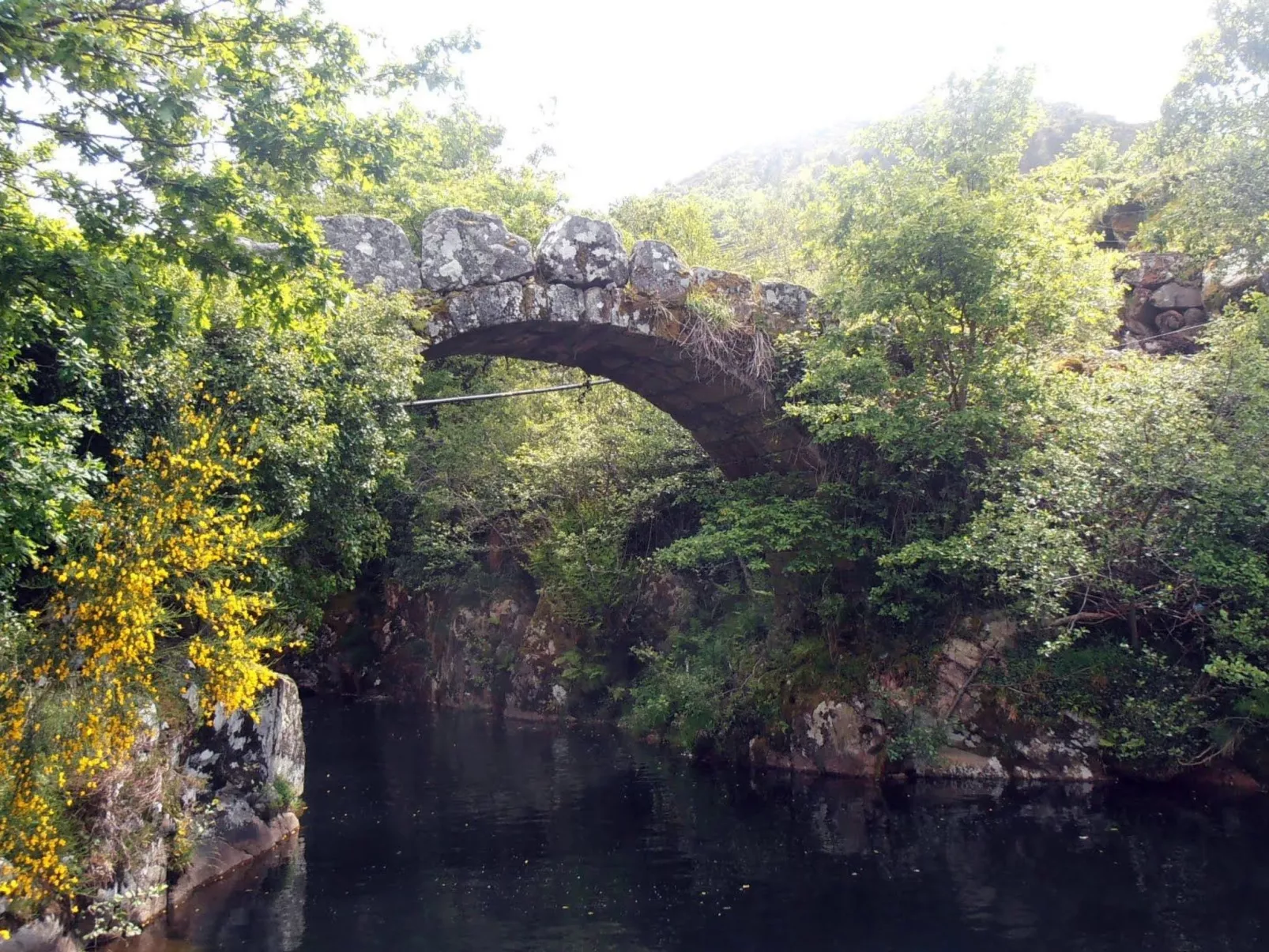 "Großmutters Häuschen" mit überdachter Terrasse-Buiten