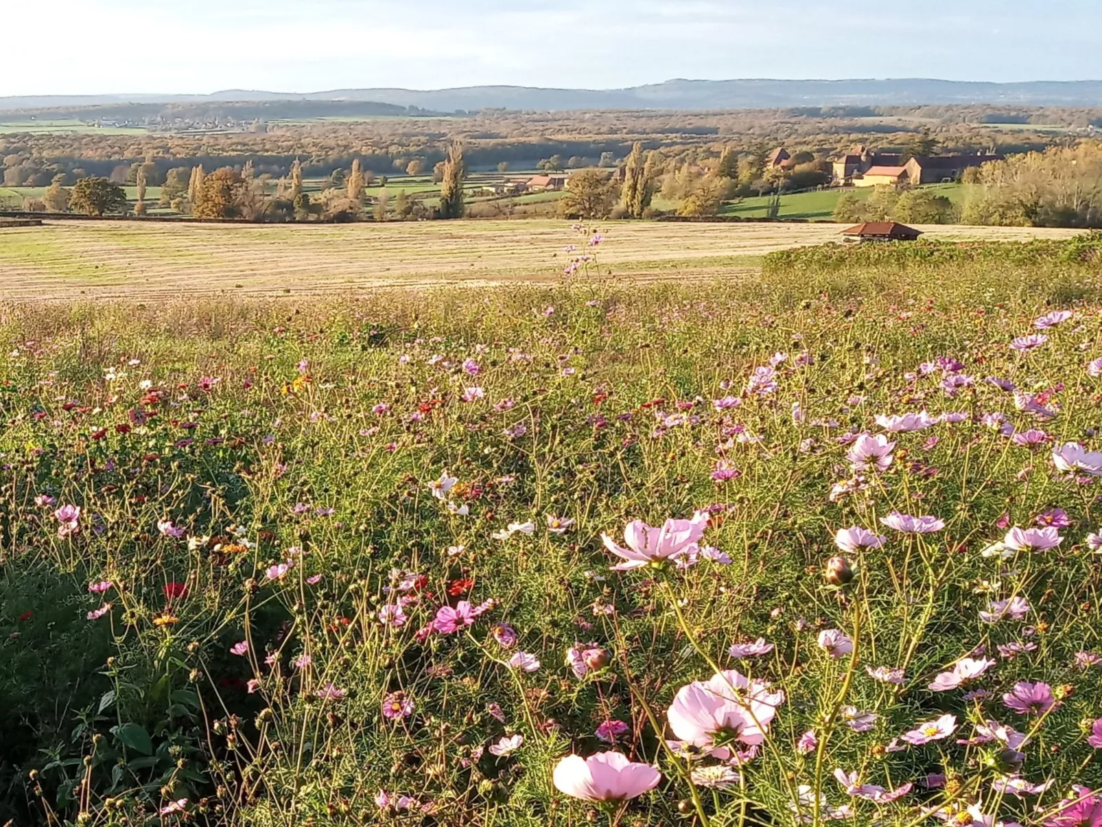 An der Weinstraße von Burgund-Buiten