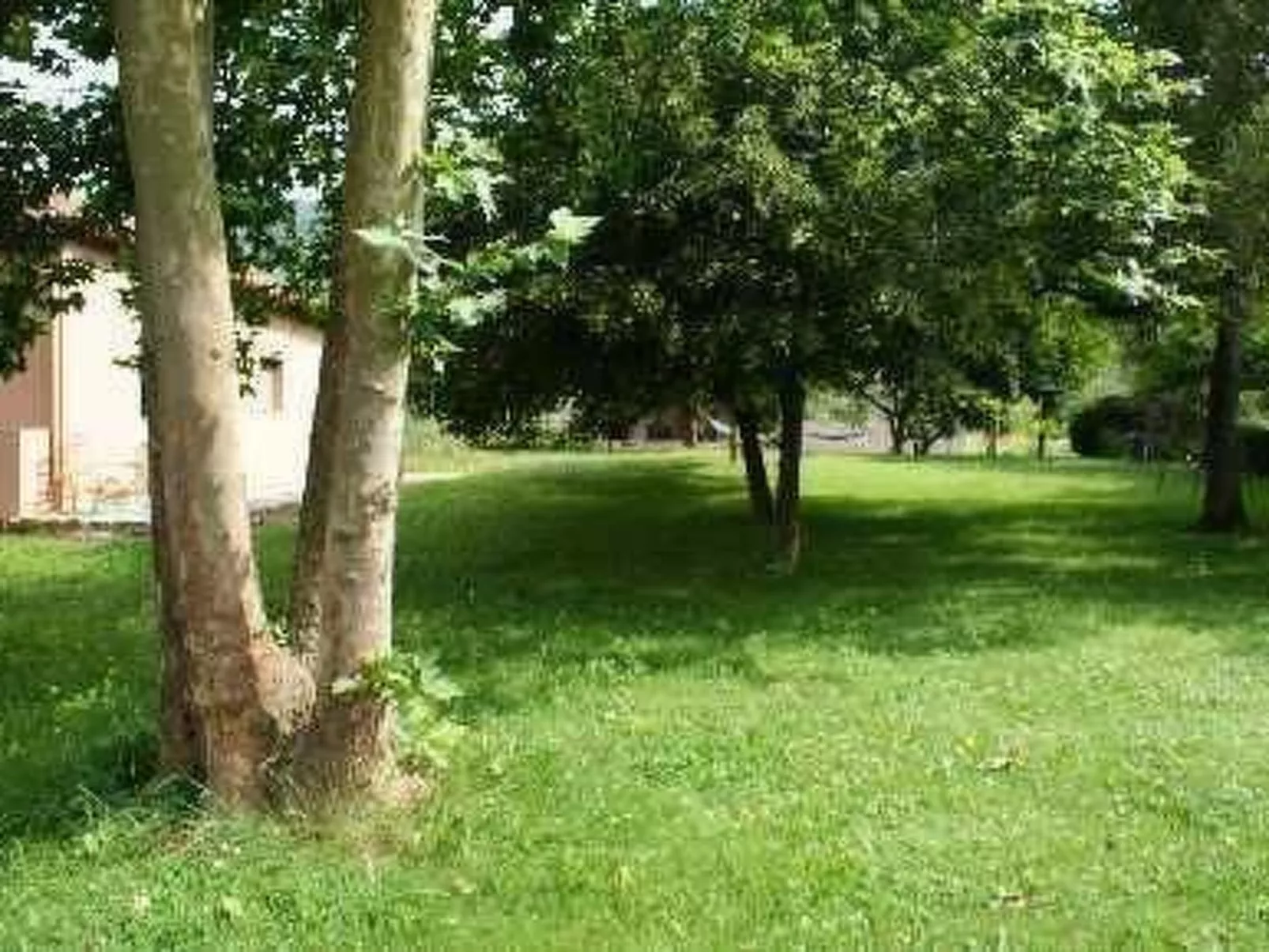 El Paller-Image-tags.info