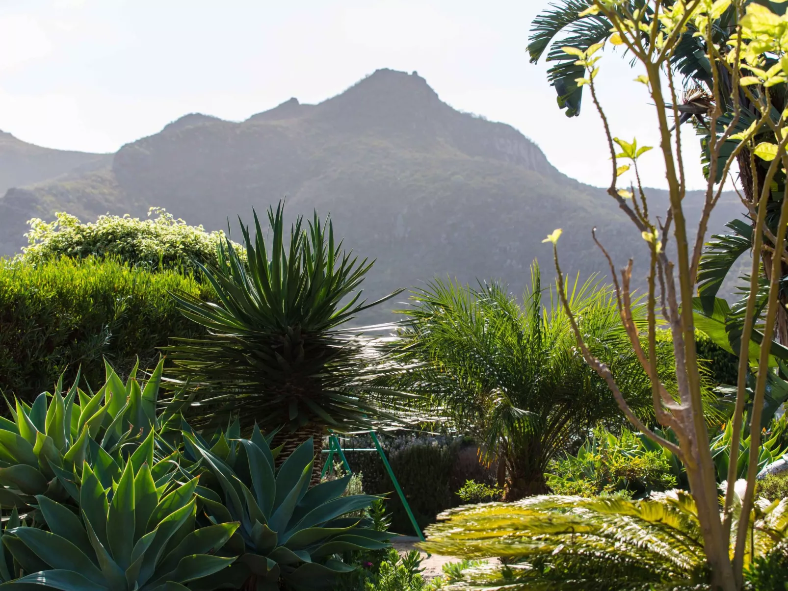 Finca Picacho "Ferienhäuser für große Gruppen"-Buiten