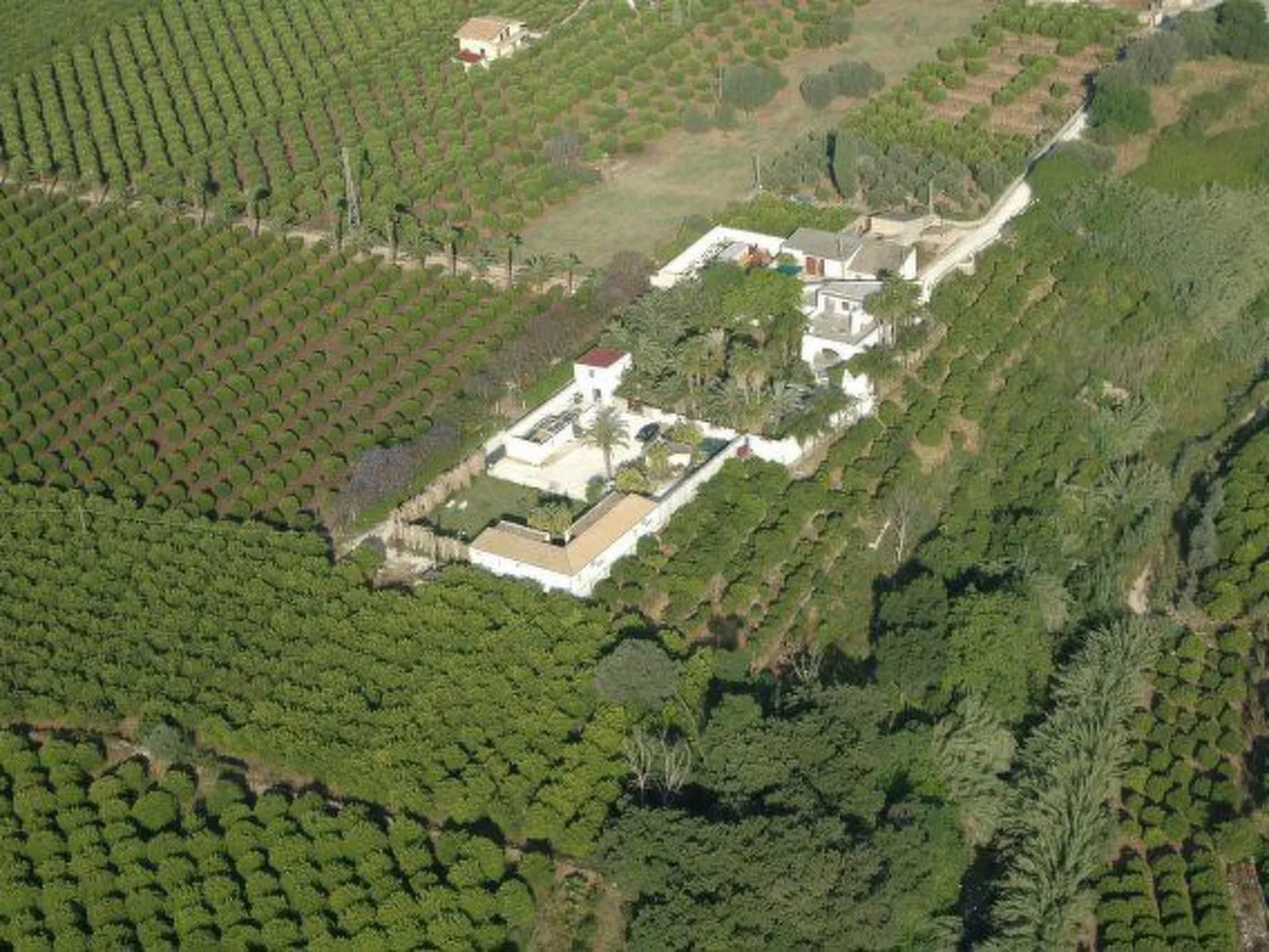 Cuore di Palme Bilo-Buiten