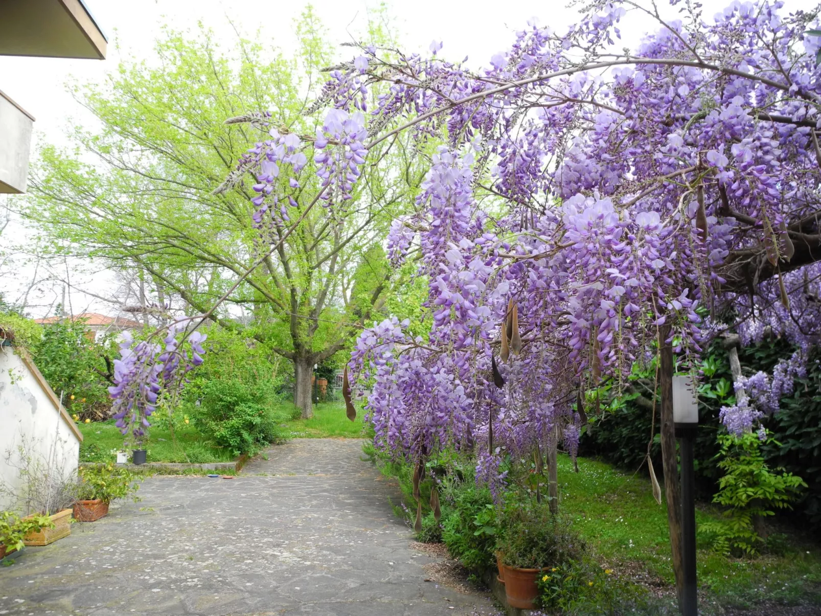 Ferienvilla 'Elisa' mit privatem Pool-Buiten