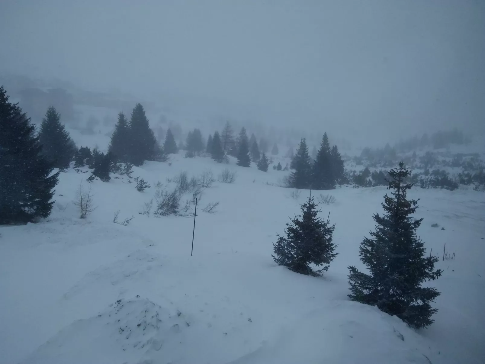 Für 4 Personen ca. 28 m&sup2; in Passo del Tonale, Trentino (Val di Sole)-Image-tags.info