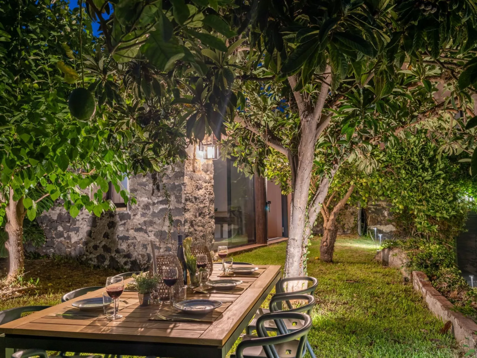 Avocado Garten-Image-tags.info