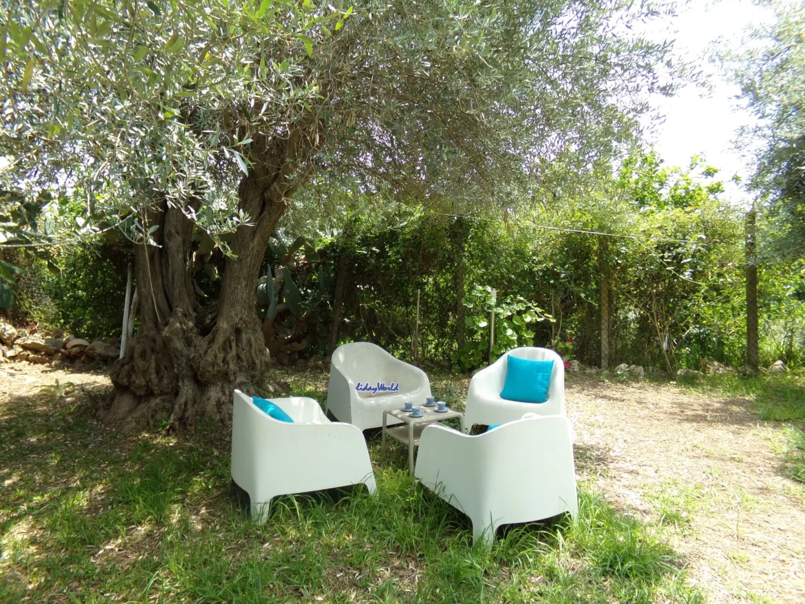 Villa Biancolilla bei Holiday World-Image-tags.info