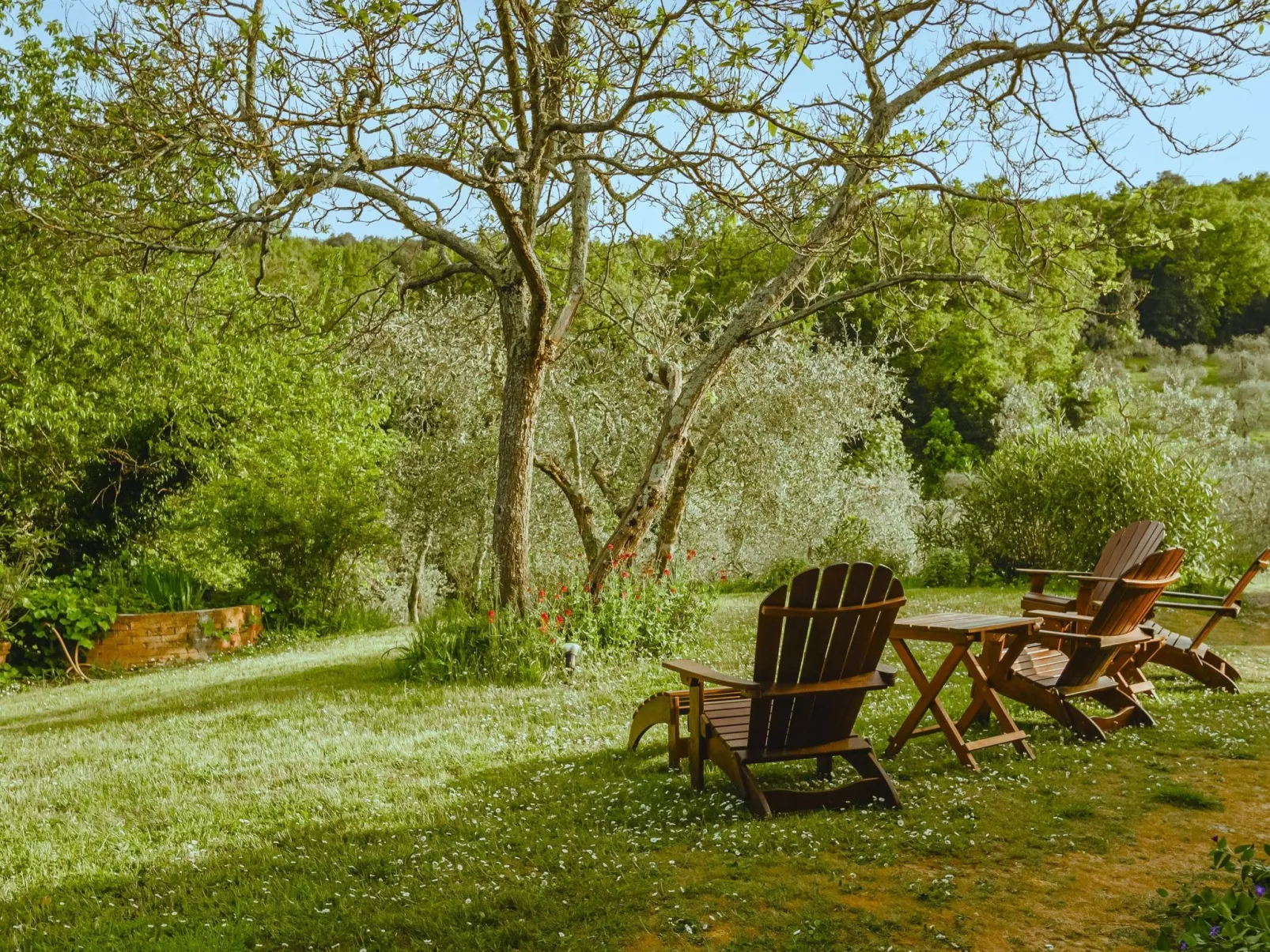 Podere Mencoini Elegante Villa mit Pool und Olivenbäumen-Buiten