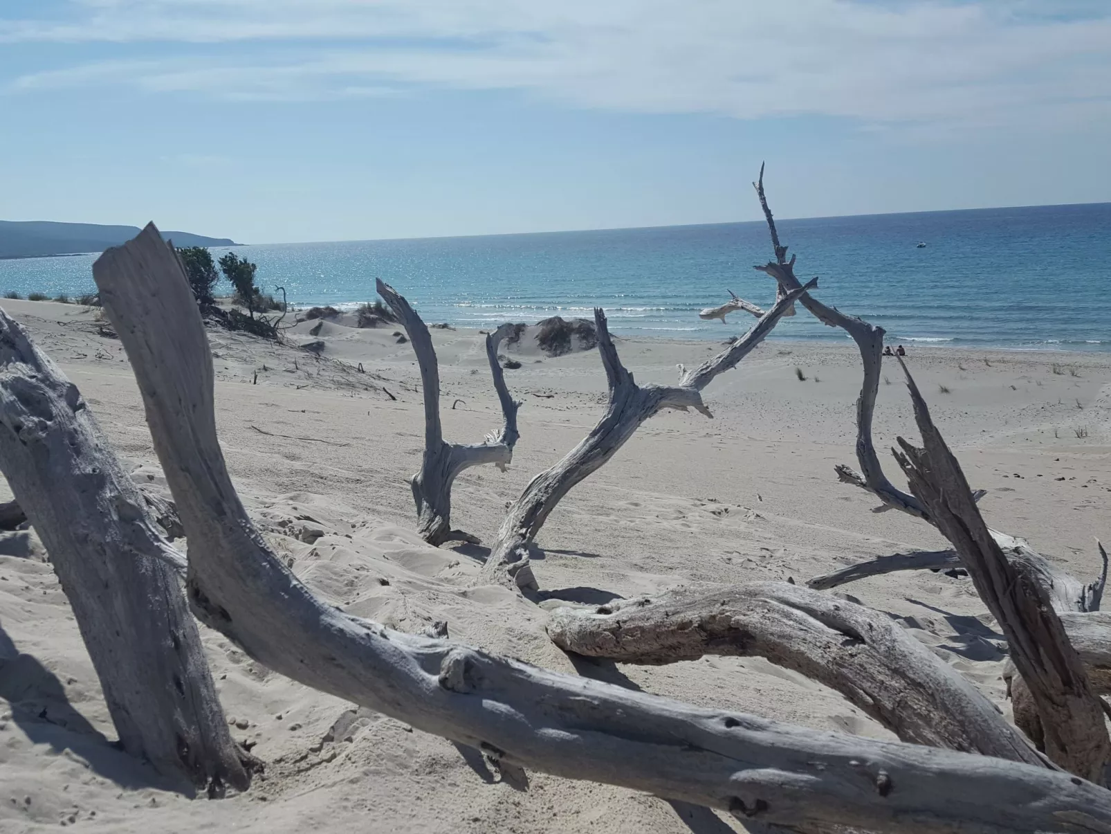 'Corte dei limoni' Piscinas-Buiten