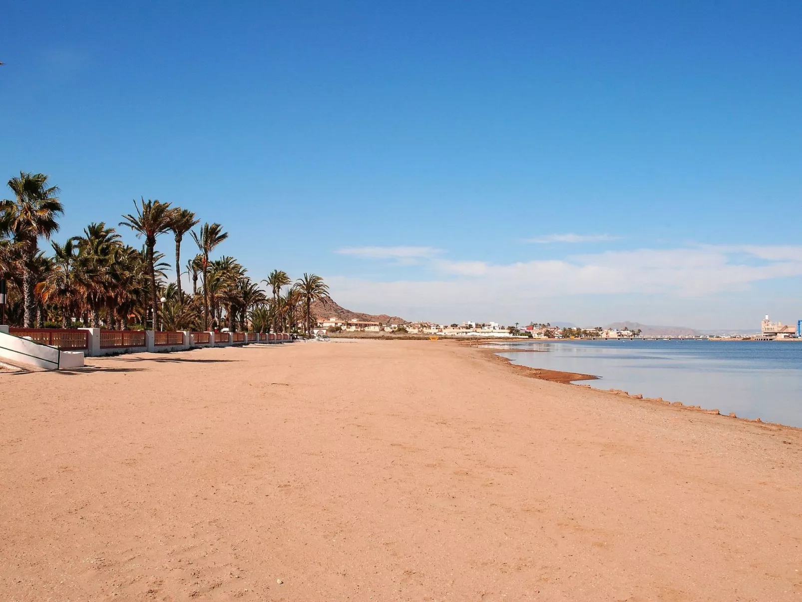 Olivos 8-Image-tags.info