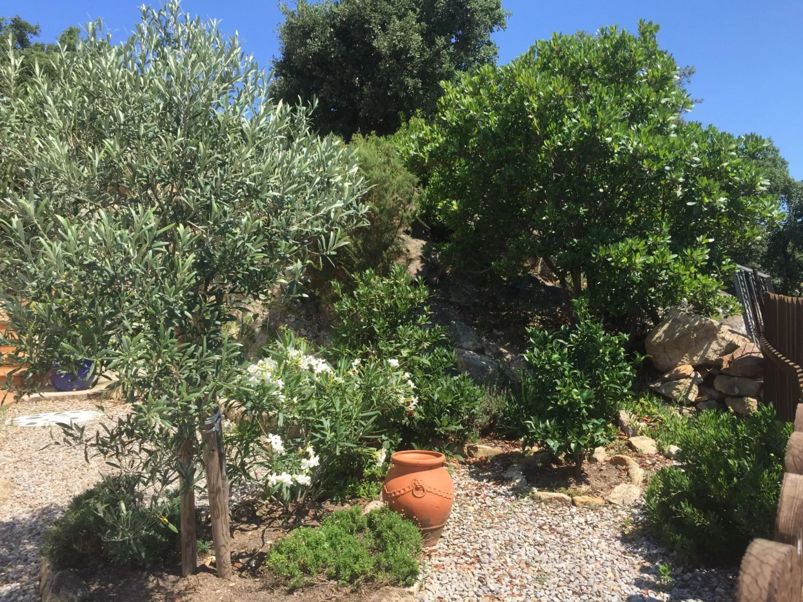 Gemütliches Ferienhaus mit Pool und Meerblick-Image-tags.info