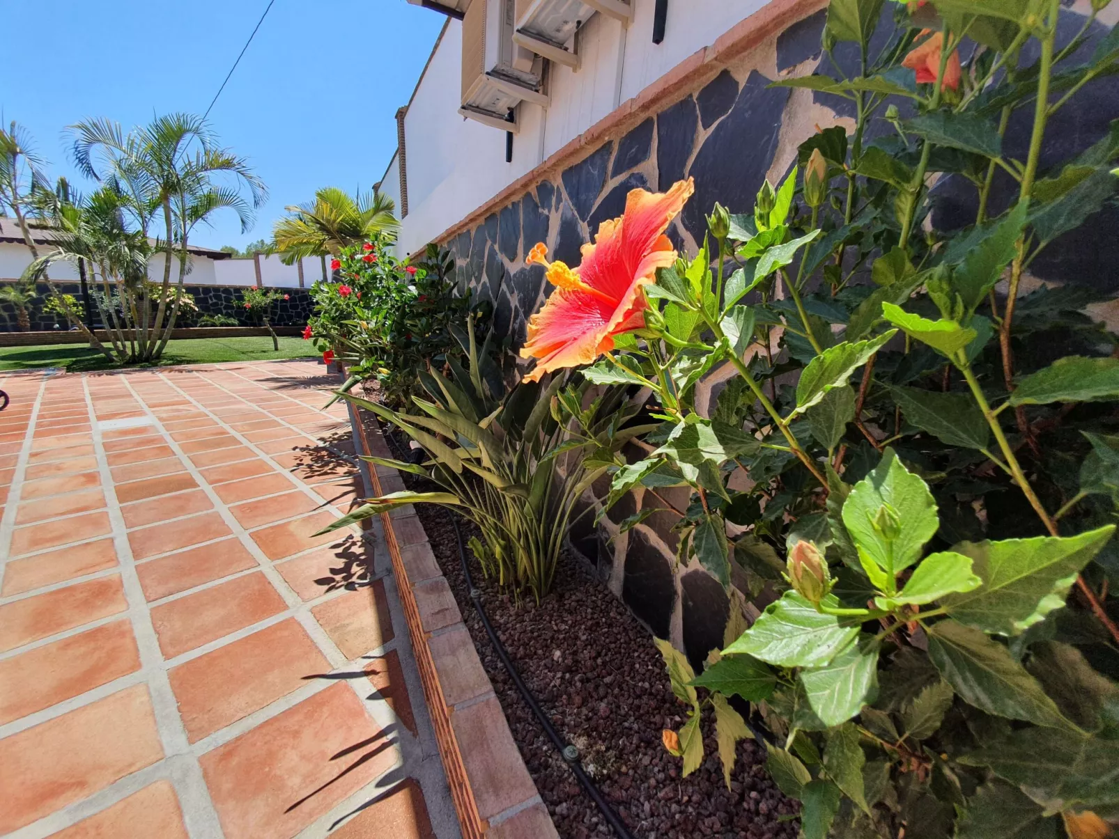 "Angelyn" mit Jacuzzi-Buiten