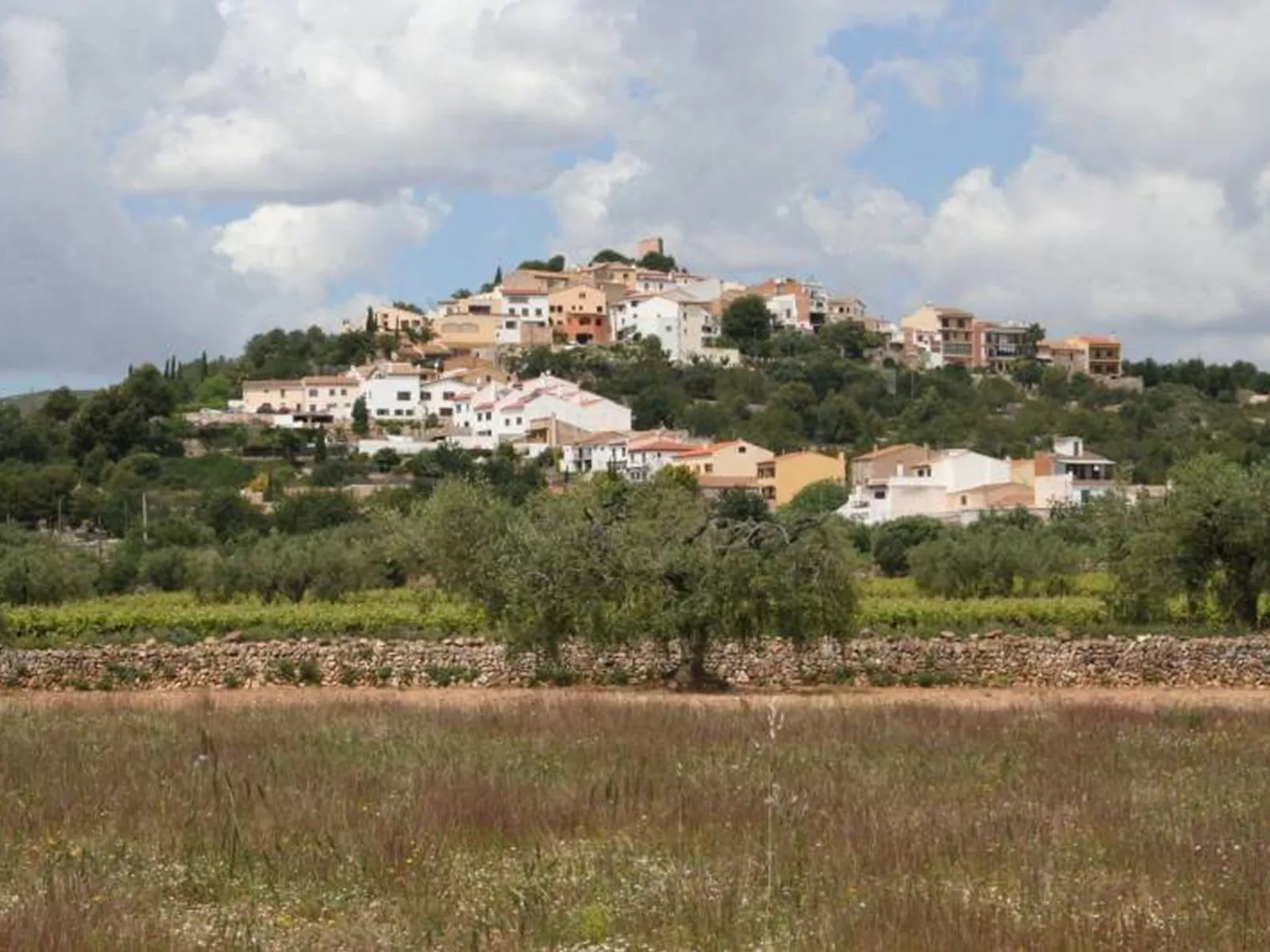 Els Cups, casa rural-Buiten