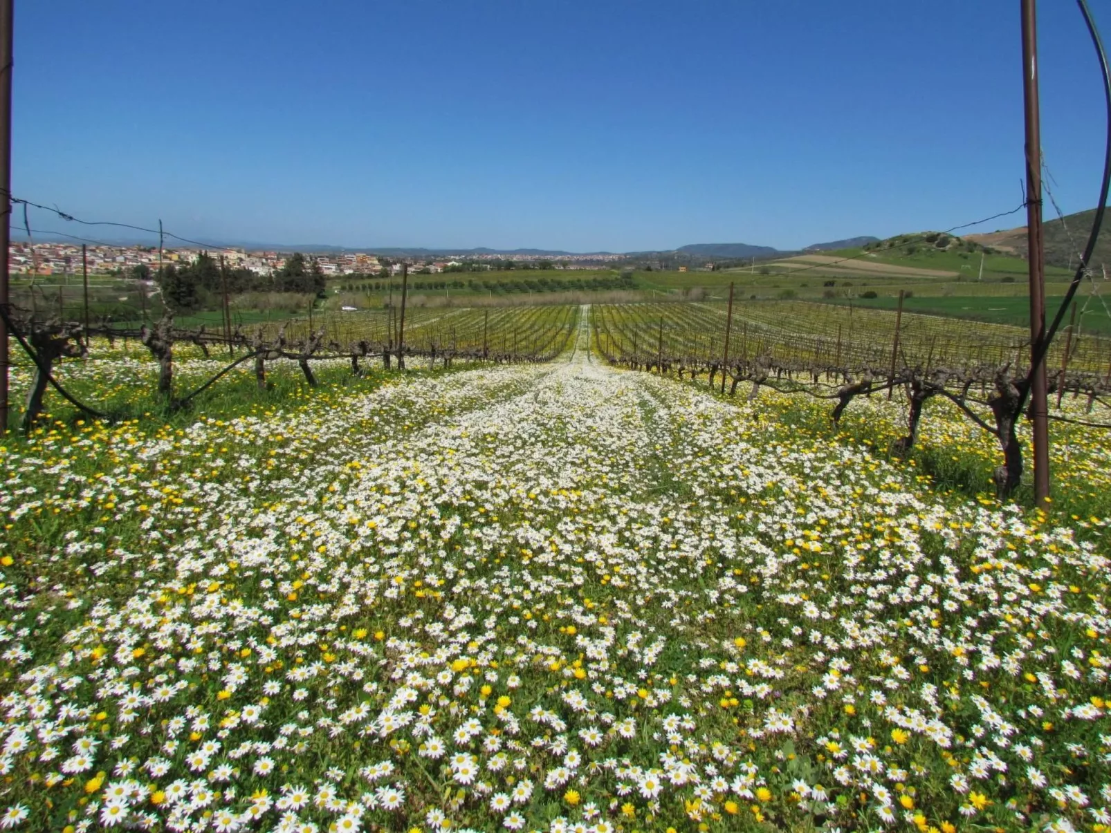 Unterkunft in einer Höhle mit Privatparkplatz-Image-tags.info