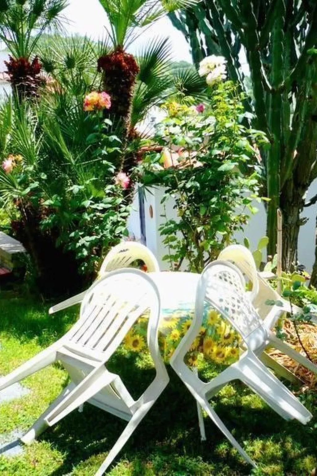 Hibiskus-Image-tags.info