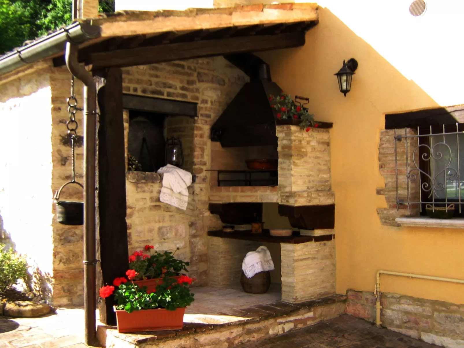 Girasoli in Cagli-Image-tags.info